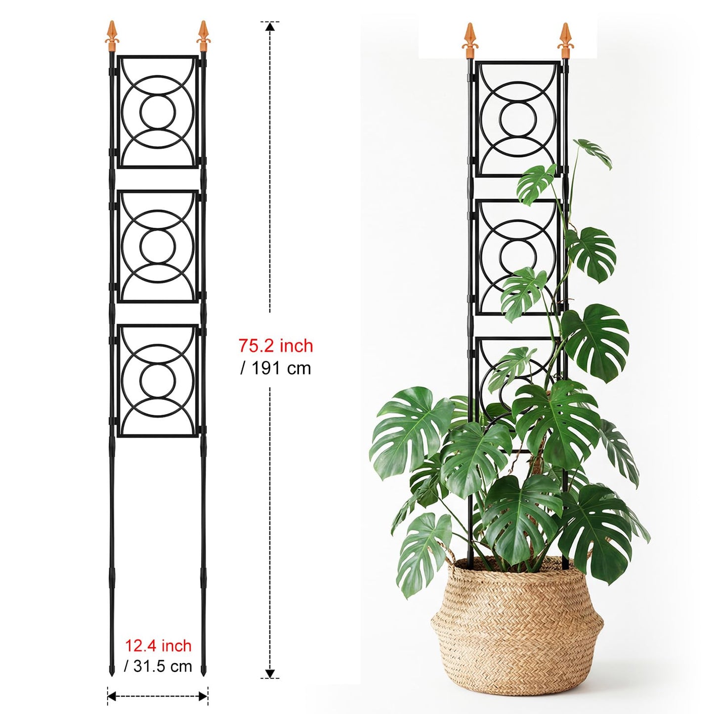 Trellis for Climbing Plants Indoor Outdoor, 24 Rifny Tall Garden Trellis Flower Rose Cucumber Trellis for Vines Pea Support, Wall Large Plant Trellis Fence with Plastic Plastic Screen Frame, 6.2 FT