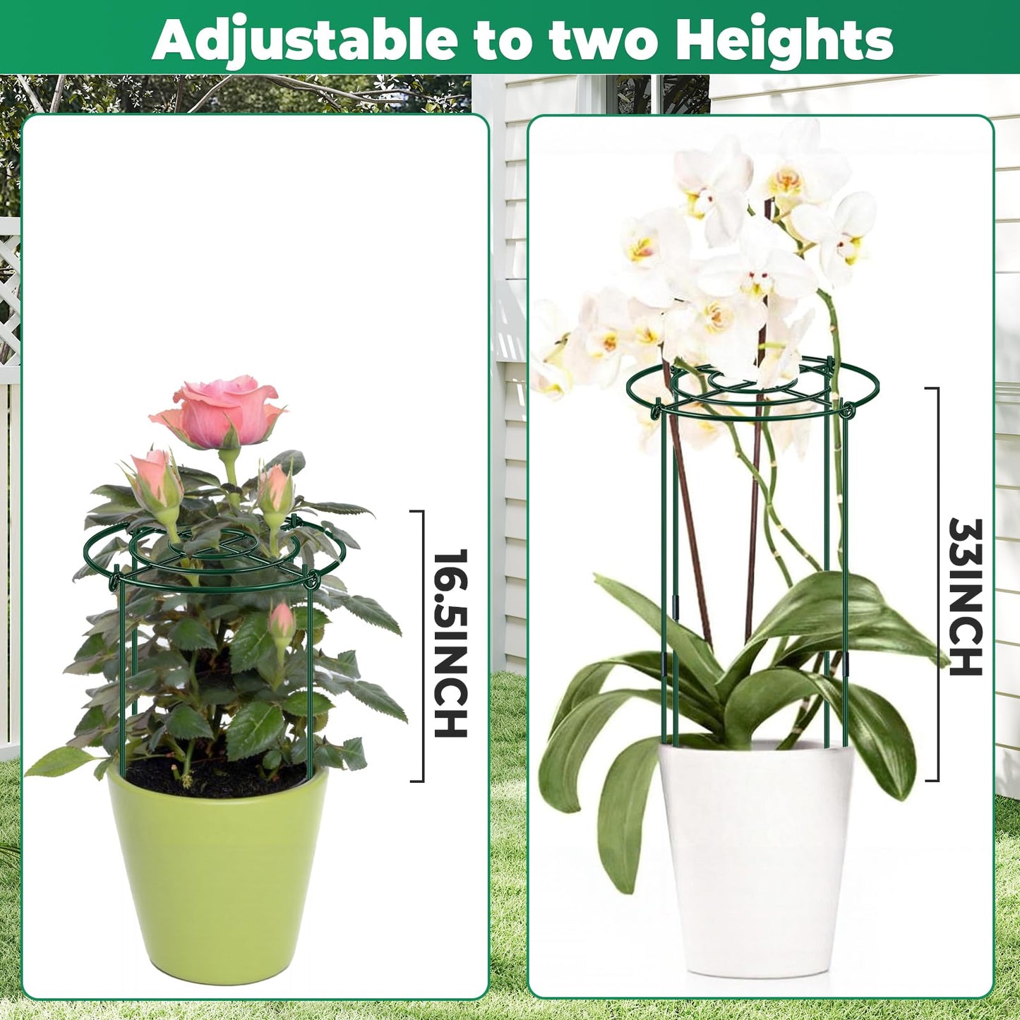 QwayHome 6Pack Peony Cages and Supports 33''H x 13''D Grow Through Large Plant Support, Adjustable High, Heavy Duty, Rust-Resistant, Round, Flower Support Cage Ring for Rose Tomato Hydrangea