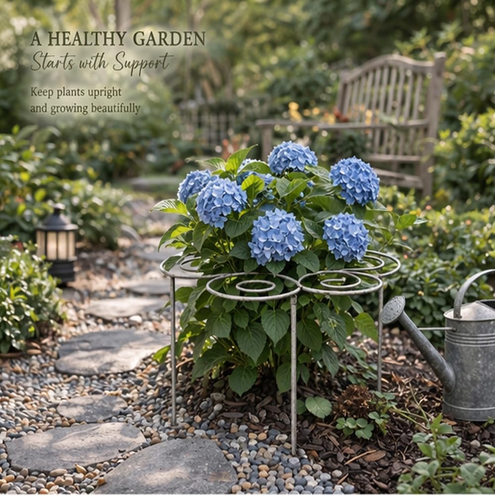Metal Plant Support Ring for Garden, Peony Cage Stand, Indoor Pots, Flower Hoop, Decorative Grow Through Rings, Stackable Houseplant Stake, Dahlia Cage, Outdoor Orchid Clip(2PCS,Medium)