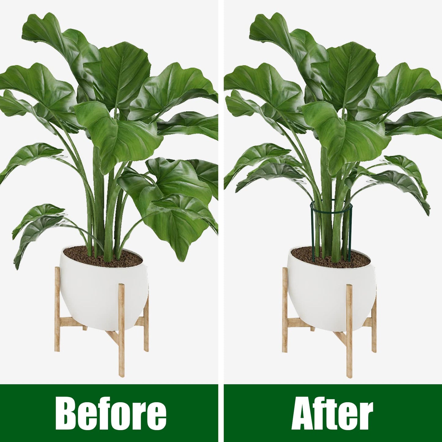 FEED GARDEN 12 Pack Plant Support Stakes, Peony Cages and Supports, Metal Garden Plant Stake(10" Wide x 16" High) Green Half Round Plant Support Rings for Outdoor Indoor Plants, Tomato, Hydrangea