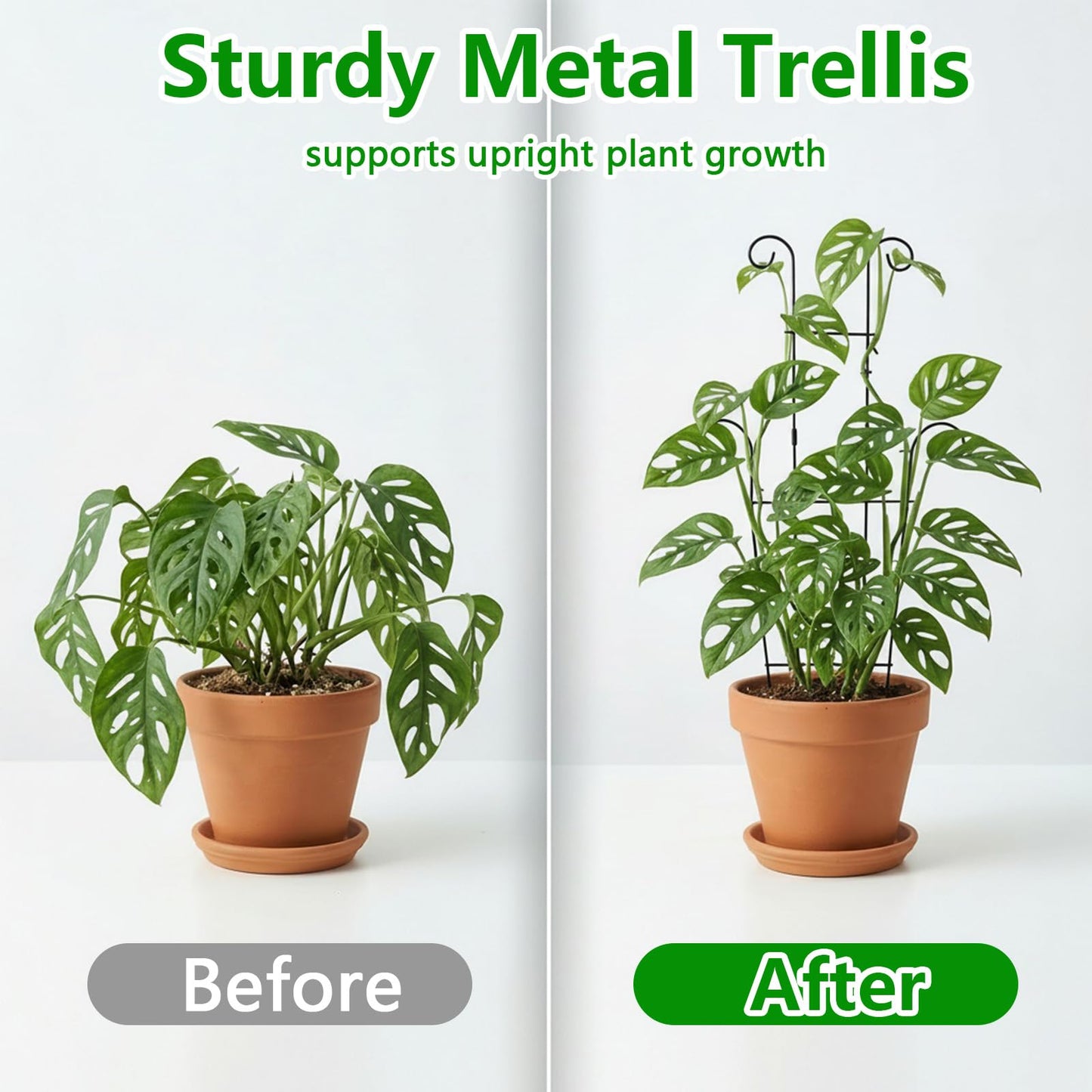 FgTnYh 2pcs Plant Trellis Vine Plant Support Assembled and Rustproof for Pothos Hoya Ivy Monstera Flower for Garden Potted Plant Indoor Outdoor 24.7inch