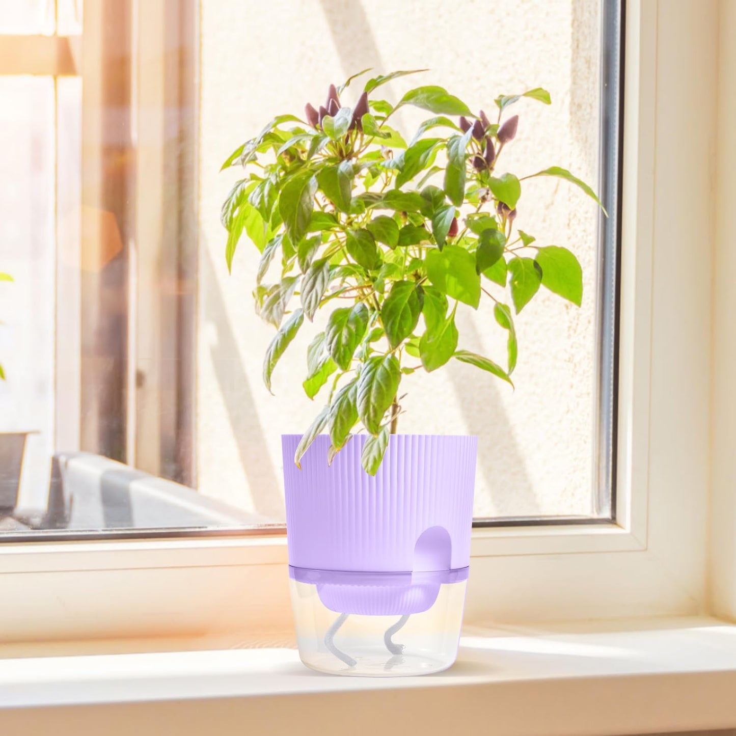 Eurysman 3 Pack - 5.5 Inch Self Watering Planter Pots for Indoor Plants - African Violet Pots with Wick Rope - Purple
