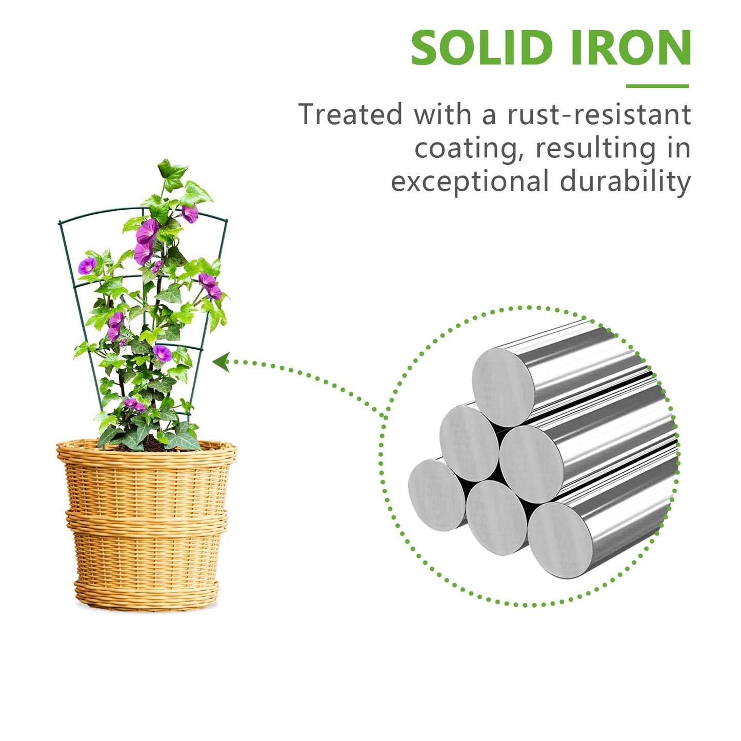 SUMGROW 6-Pack Indoor Plant Trellis - 16 Inches, Heavy-Duty Metal for Climbing Houseplants, Flowers, Vines, and Ivy