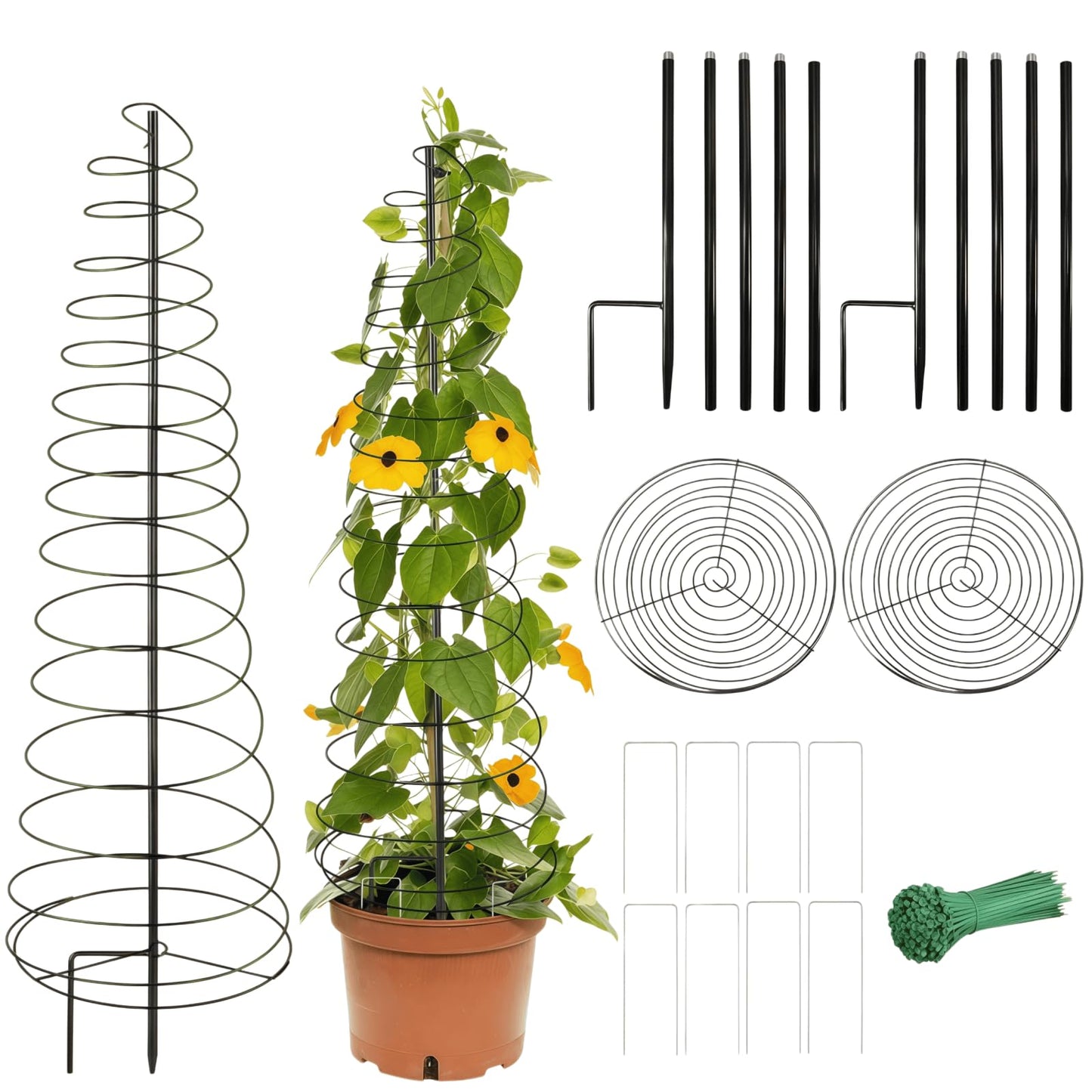 2 Pack Spiral Metal Garden Trellis for Climbing Plants Outdoor, 12"-59" H Adjustable Plant Grow Cage Support for Pole Bean, Pea, Morning Glory, Clematis (Includes Metal Central Stake, More Stable)