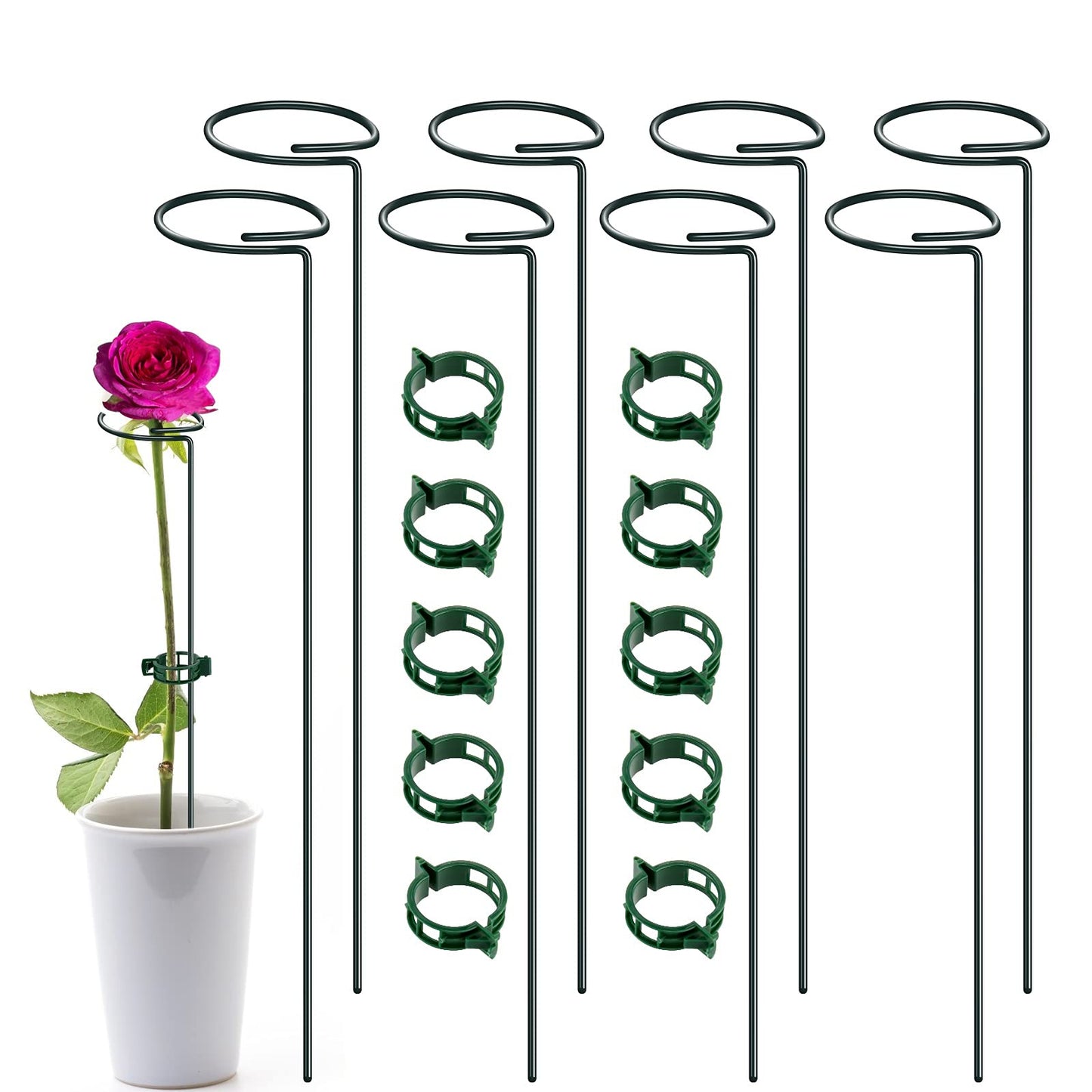 XYCING Green Metal Plants Support Stakes (Pack of 8), Garden Single Stem Plant Support Rod and Ring with 10 PCS Plant Clips, Plant Support and Clips Set - for Amaryllis, Rose, Tomato Seedling, Sapling