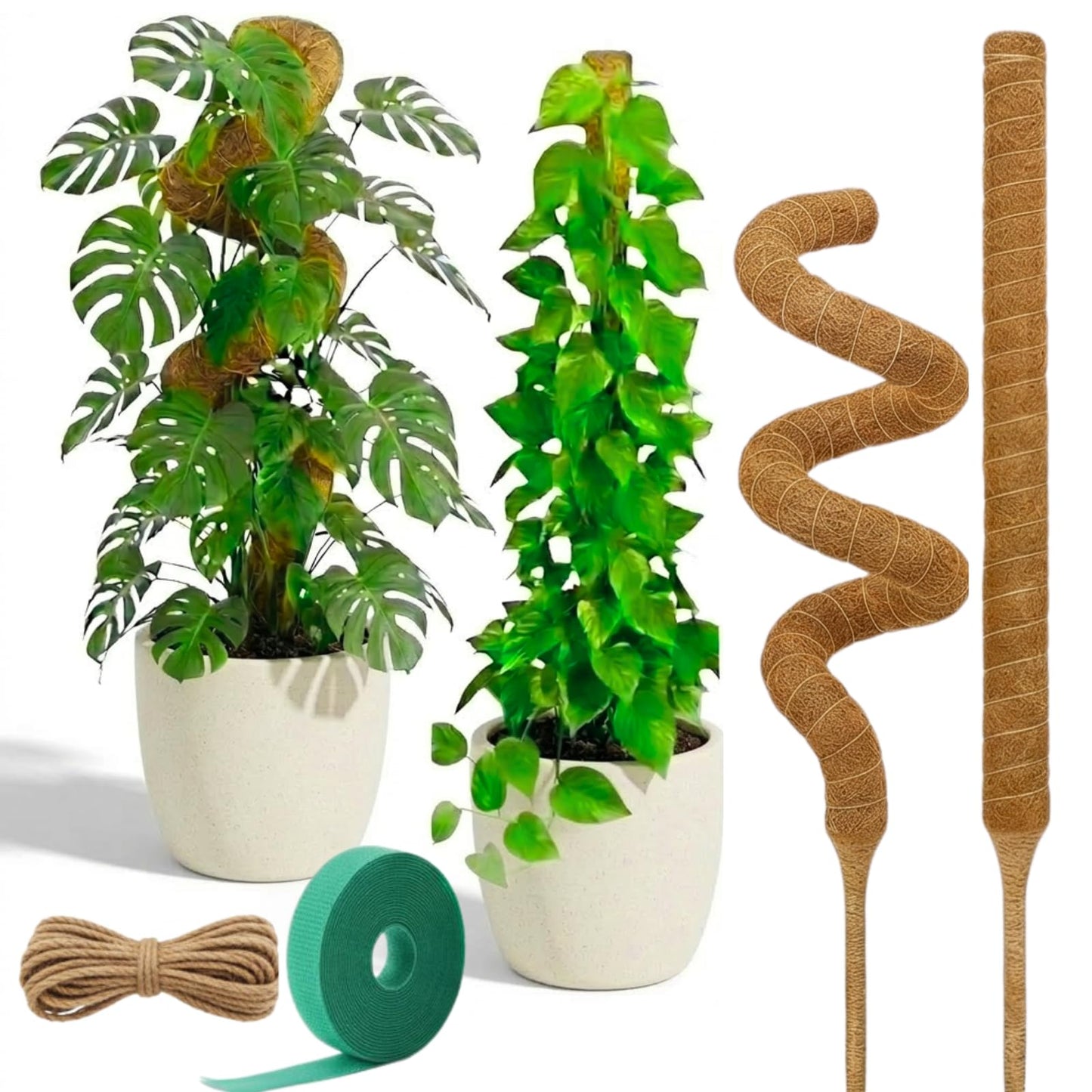 Auraville 28 Inch 2 Pack Bendable Moss Pole Monstera Plant Support | Plant Stakes for Indoor Plants | Coconut Fiber Moss Poles for Climbing Plant| Handmade Coco Coir Plant Sticks for Potted Plants