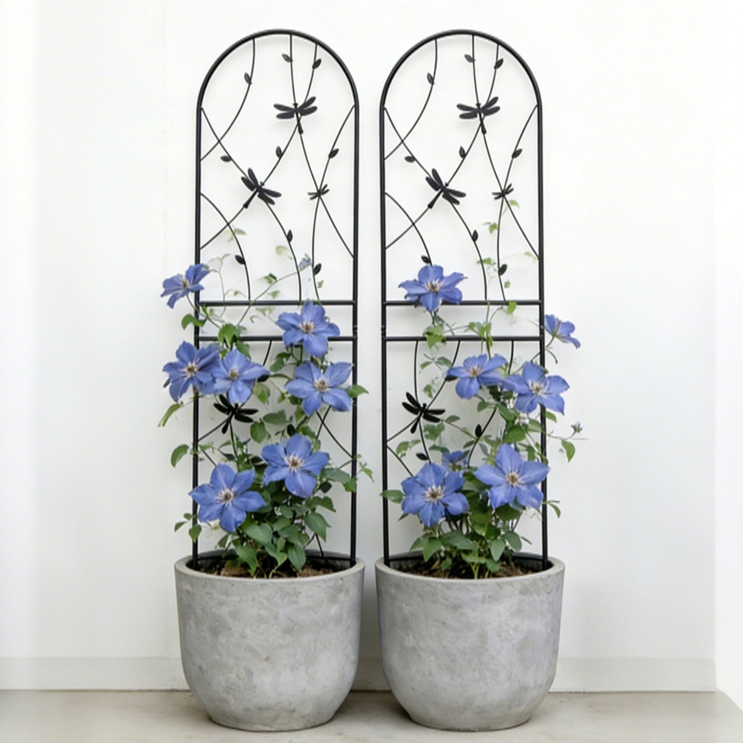 2 Pack Large Garden Trellis Heavy Duty Rustproof Iron Plant Trellis for Potted Plant Support Metal Climbing Rose Trellis Vine Vegetable Cucumber, Black -71" H x 19.7" W