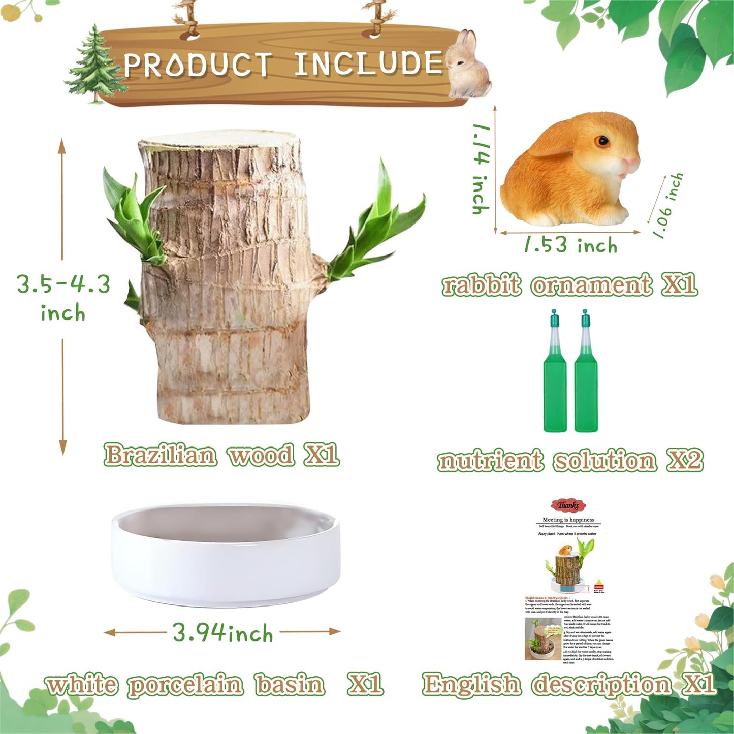 Brazilian Lucky Wood Plant,Fortune Brazil Wood Potted Plant,Mini Brazil Decoration, Desk Decor for Home & Office Desktop Planter