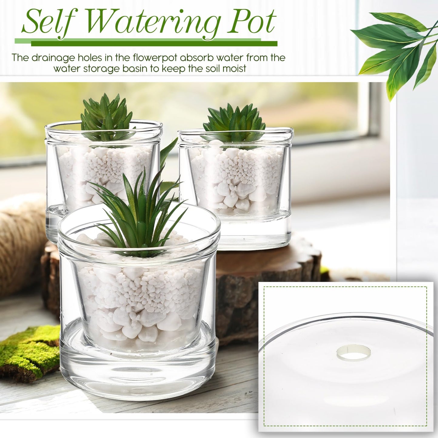 Baderke 2 Pcs 4 Inch Self Watering Pot for Indoor Plants Clear Glass Planter Small Plant Pot with Saucer Reservoir Drainage Holes Bottom Watering Pot for African Violet Orchid Flowers Houseplant