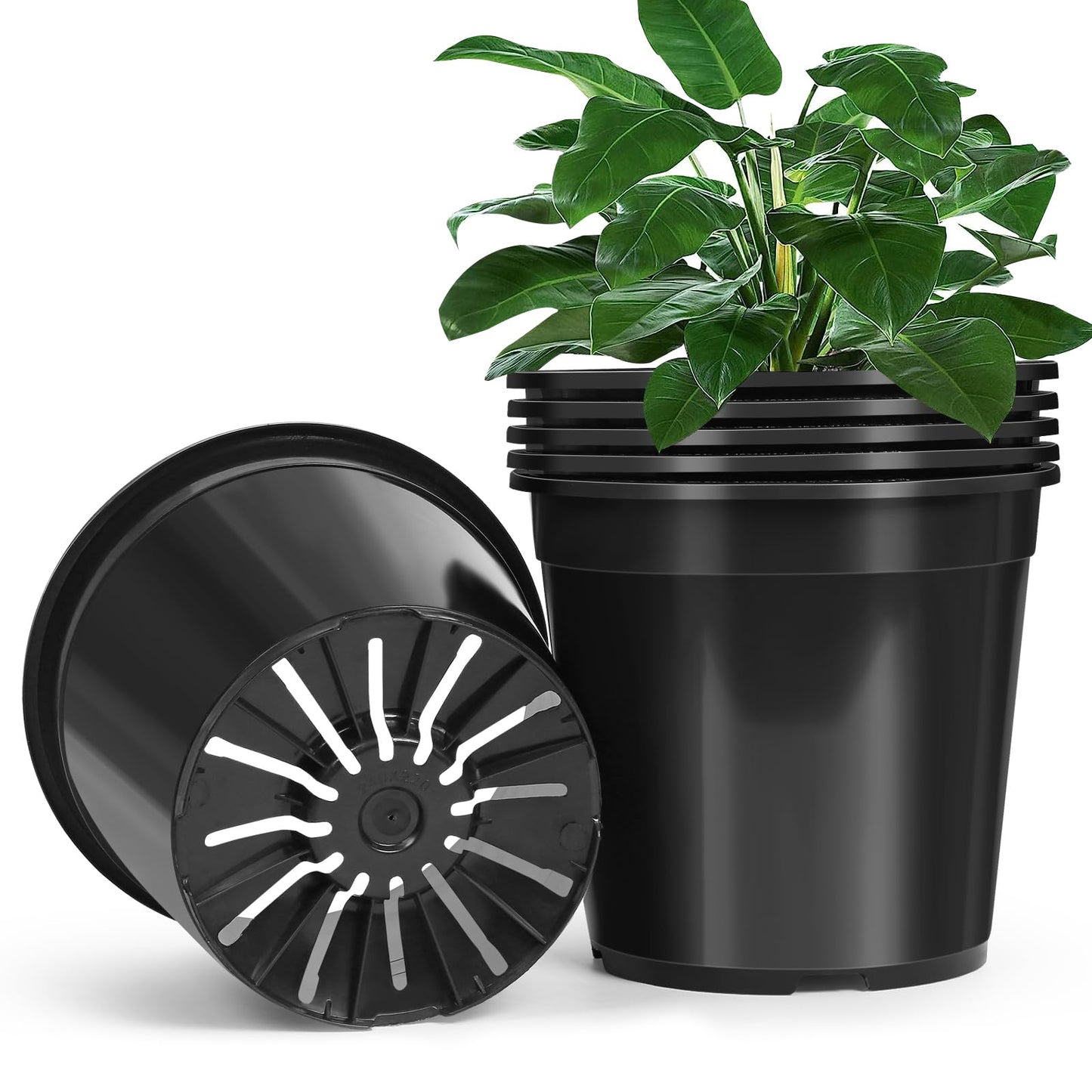 DUNPUTE 6 Pack 3 Gallon Pots for Plants, 3 Gallon Plastic Nursery Pot with Drainage Holes, Sturdy Plastic Plant Pots for Nursery Garden, Flowers, Succulent Outdoor Indoor (Black, 3 Gal- 6 Pack)