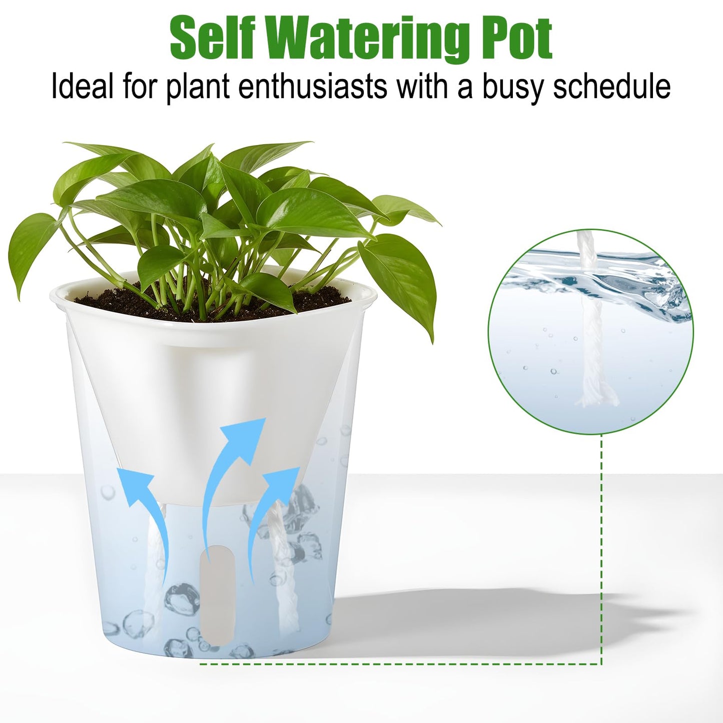 PercyEffie 20 Pack 3 Inch Self Watering Pots for Indoor Plants Small White Plastic Planter Garden Hydroponic Flower Pots with Level Indicator Vents for House Plants, Flowers Violets Ocean Spider Plant