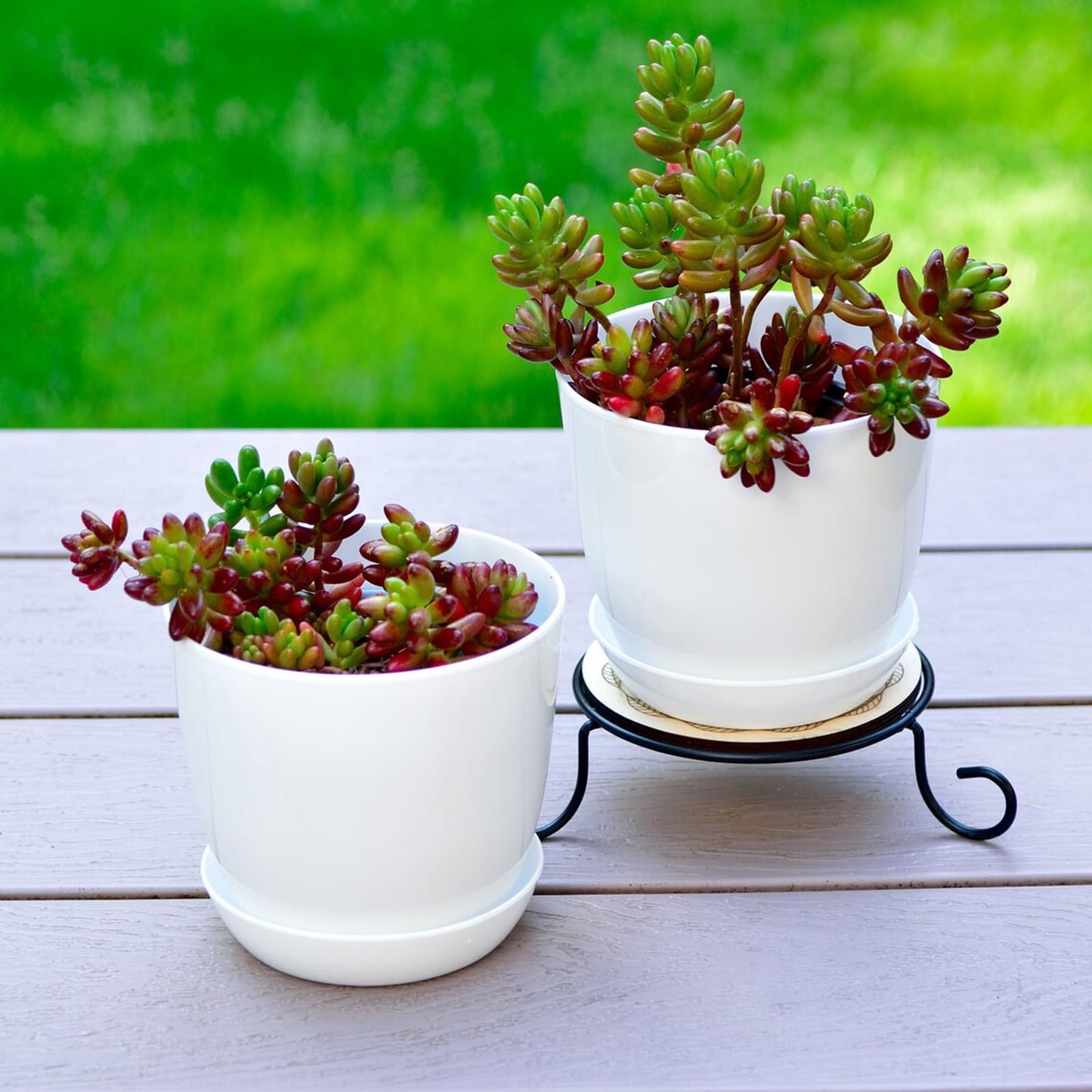 Tergy 50 Pack 4 Inch Plant Pots Bulk Small Plastic Planters Pots with Drainage Holes Flower Pot for Succulent, Cactus, Herb, African Violet (50pcs-White, 4Inches)