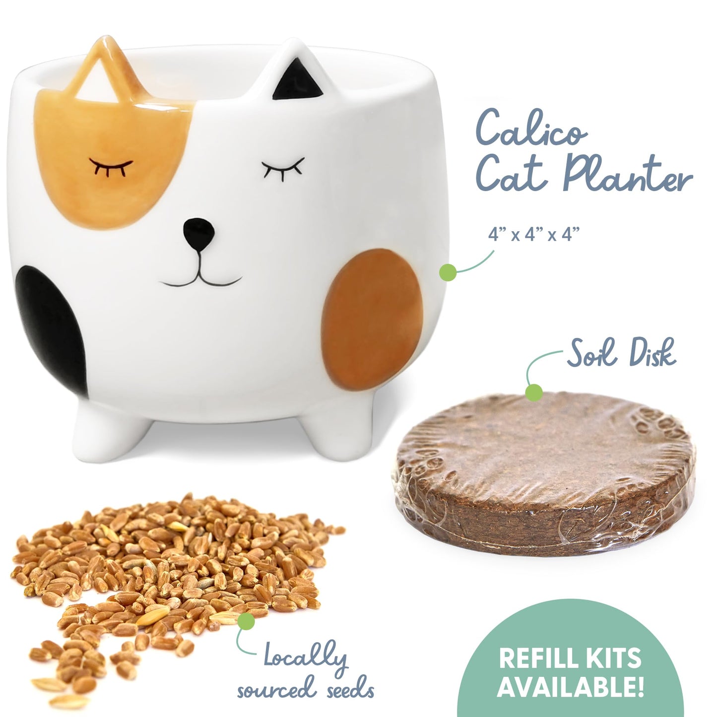 The Cat Ladies Cat Grass for Indoor Cats, Cat Grass Growing Kit with Organic Cat Grass Seed Mix, Soil and Ceramic Cat Planter, Pet Grass for Cats, Natural Hairball Remedy, Cat Gifts
