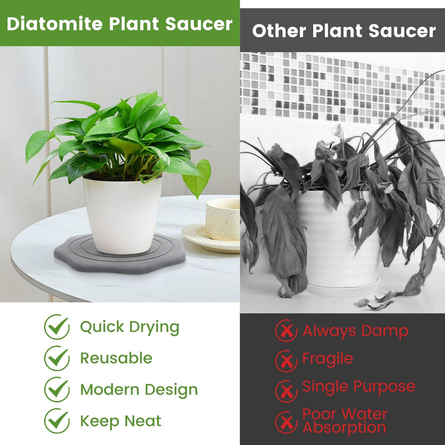 seaflash Plant Saucer for Indoors, 2 Packs 8 12 inch, Diatomaceous Earth Pot Saucers No Holes, Instant Dry Plant Drainage Trays for Pots, Dark Gray