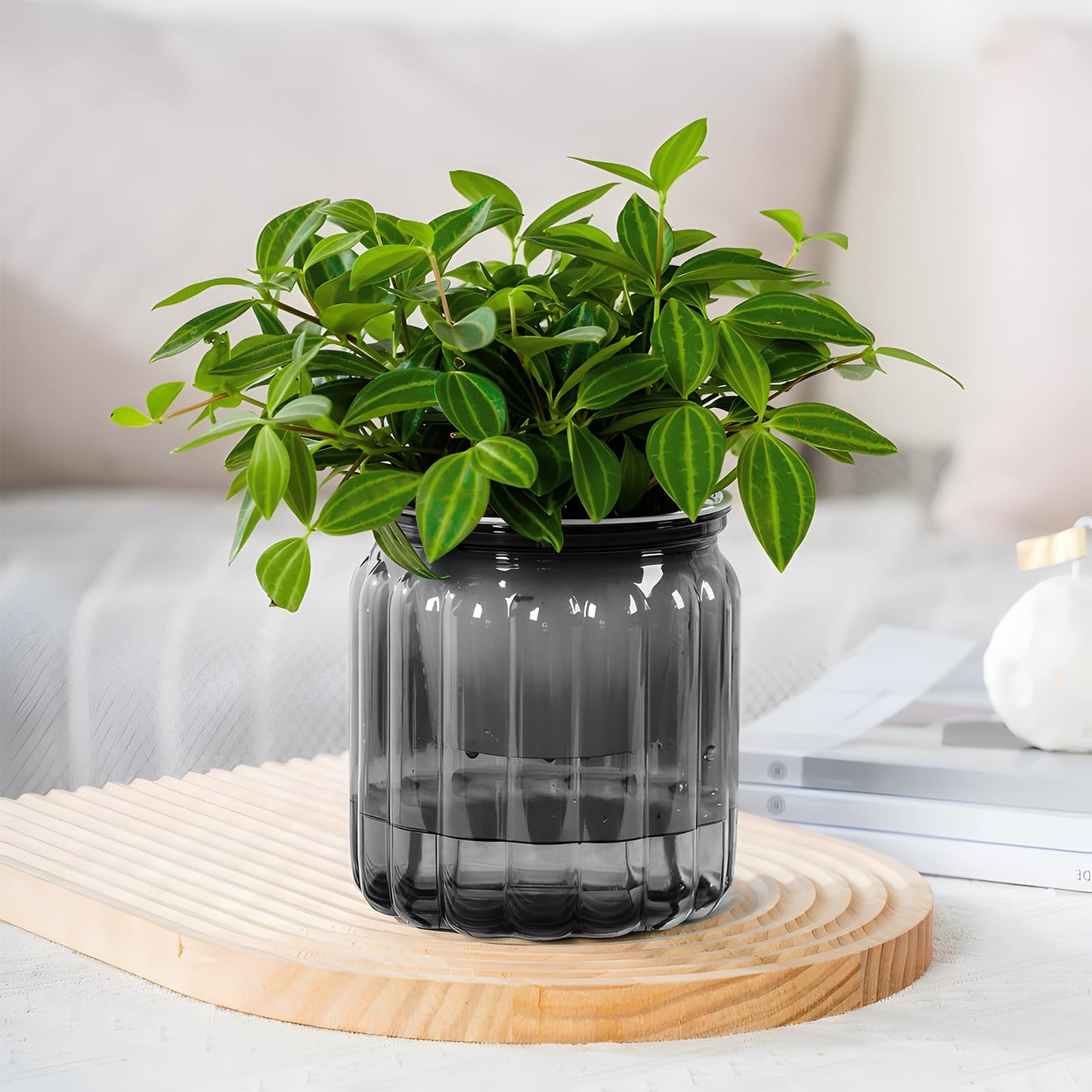 Samhe 6 Pack Self Watering Pots Set, 3.9 Inch Self Watering Pots for Indoor Plants, Planter Pot with Wick Rope for Succulents, Violets, Ferns - Clear Gray & White