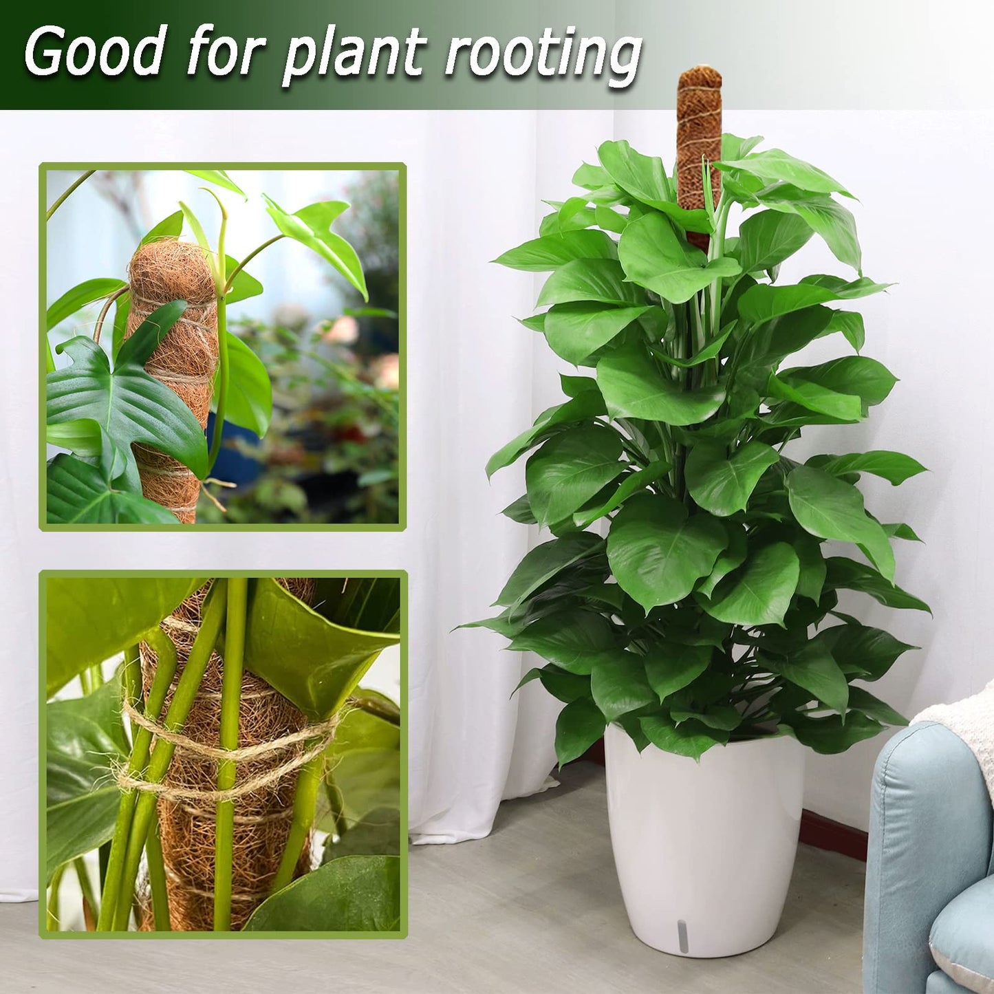 Moss Pole Set, Bendable Moss Pole for Plants Monstera, Tall Moss Poles for Climbing Plants Indoor, Large Handmade Coco Coir Plant Pole Sticks Support Stakes for Potted Plants, Pothos
