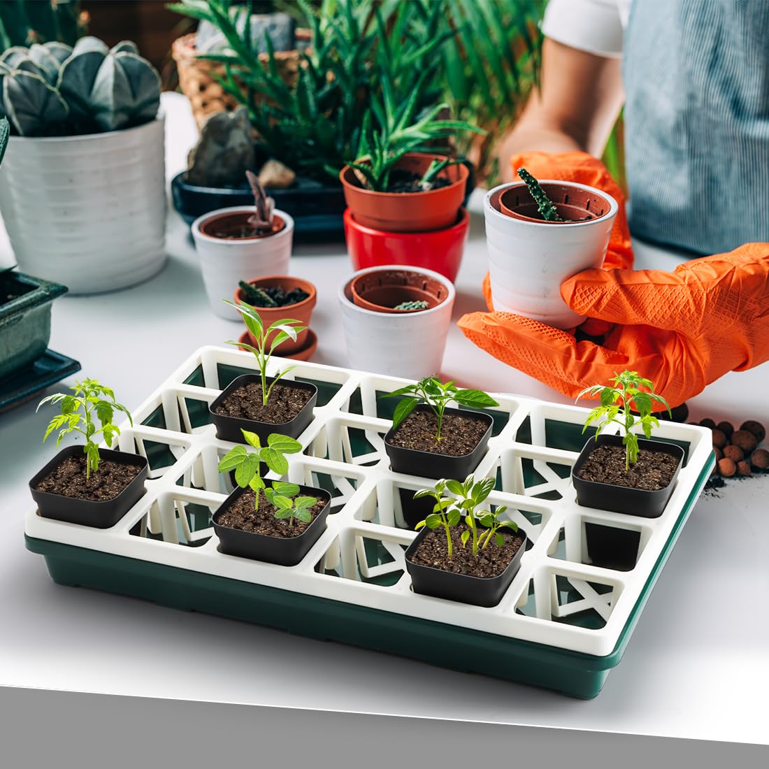 RooTrimmer 5 Pack Seed Starter Trays (17"x11"x2"), Plastic Flat Nursery Pots Trays, Durable Carrying Seedling Starter Tray, Reusable Tray for Planting and Collecting Drainage Water (Green)