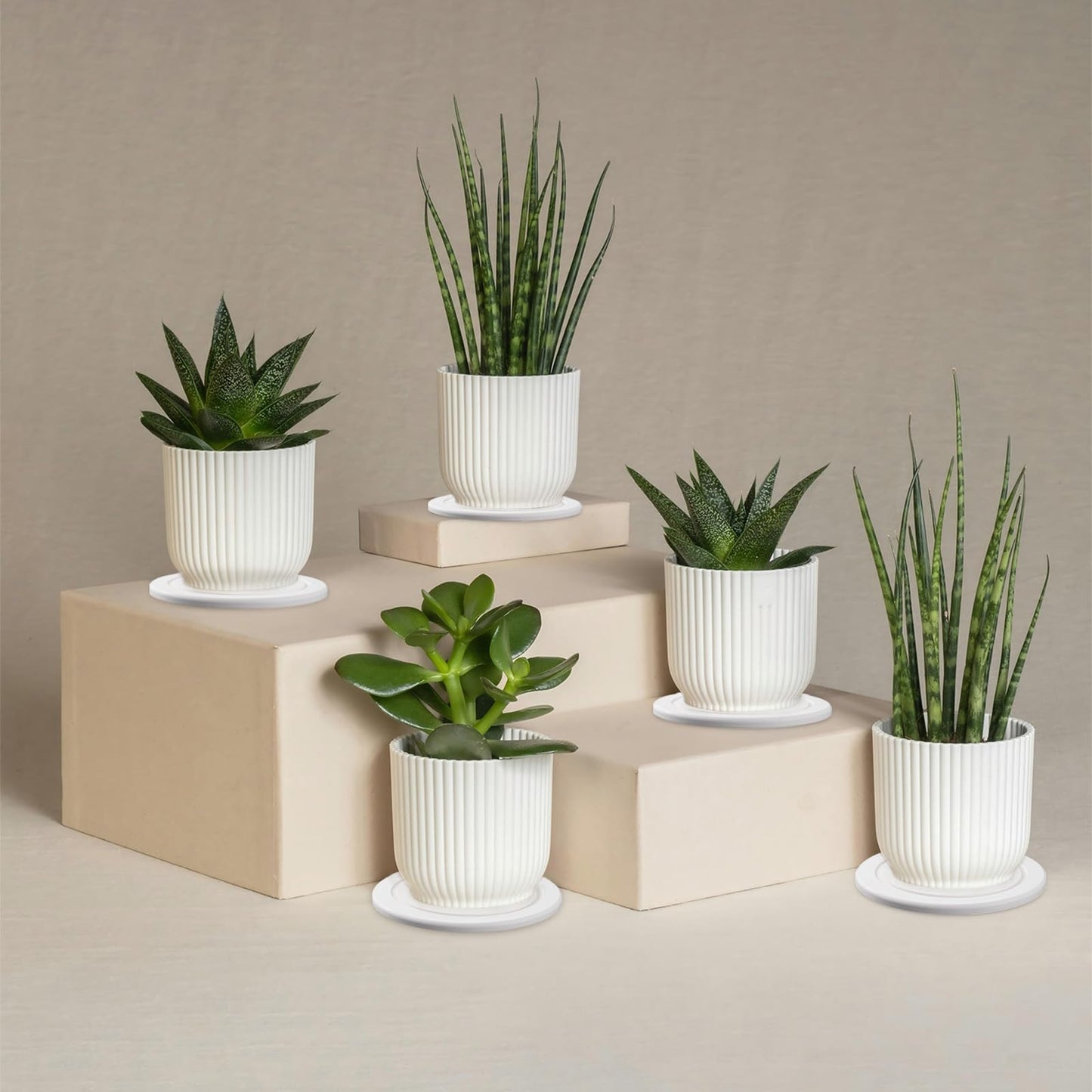 2Pcs Plant Saucer for Indoor — 6 inch Instant Dry Plant Tray Diatomaceous Earth Round Plant Drip & Drainage Trays for Indoors, Off - White