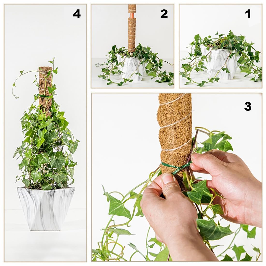 Lythor Moss Pole Set of 4 Extra-Long 63 inch Coir Pole Moss Stick, 4Pcs 15.8 inch for Indoor Monstera Plant Support and Train Creepers and Climbing Plants Grow Upwards