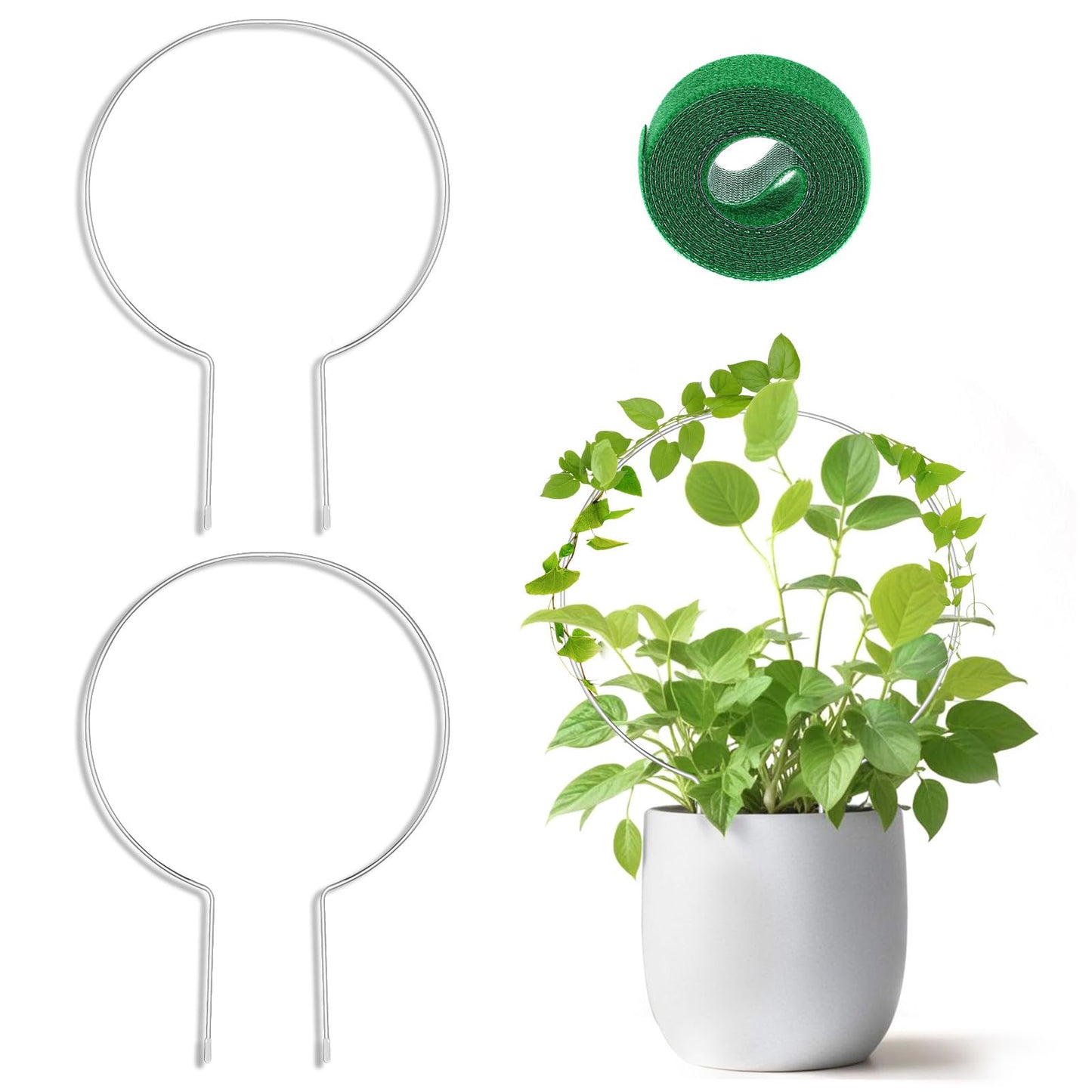 ZEYIYER 2PCS Small Trellis for Potted Plants, Circle Trellis with Plant Tape, Pothos Plant Climber Support for Climbing Plants Indoor Outdoor, Plant Trellis for Vines Hoya Flower Topiary Frames