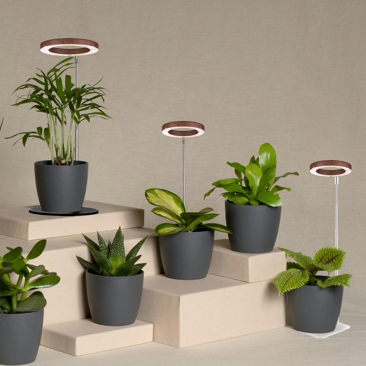 Yadoker 144 LEDs Plant Grow Light for Indoor Plant,Walnut Wood Grain Aluminum LED Grow Light with White Base, Height Adjustable,6.3" Aluminum Housing,Automatic Timer with 8/12/16 Hours,2 Pack