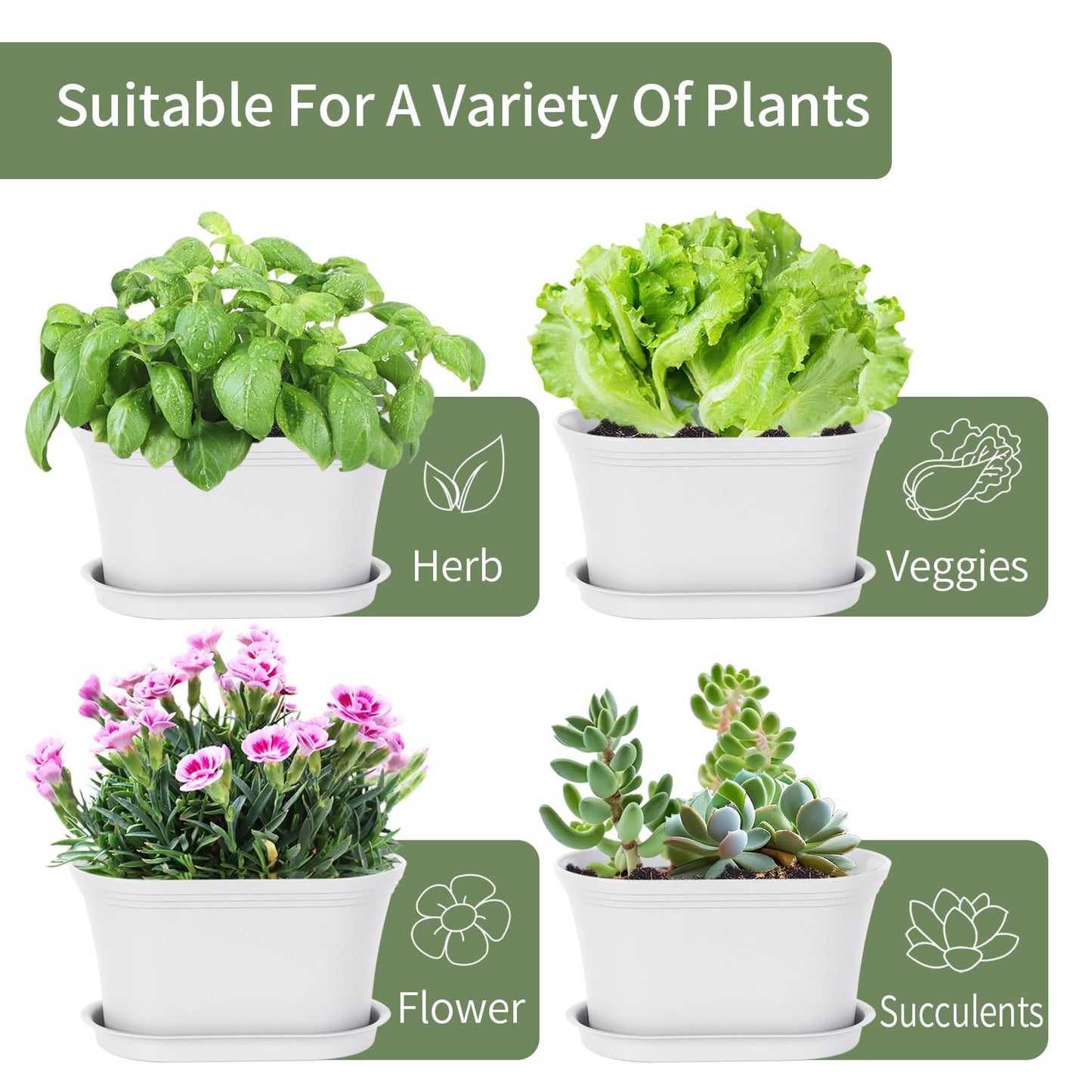 Oliz Windowsill Garden Pots, White Plastic Flower Pots with Drainage Tray for Herb, Succulents, African Violet (Pack of 6)