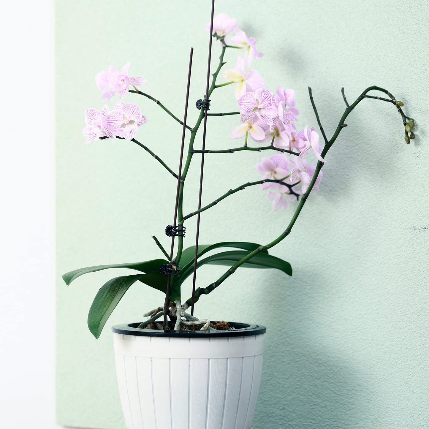 Planterhoma 3 Pack Self Watering Pots for Indoor Plants, 7.1 Inch Plastic Plant Pots, White