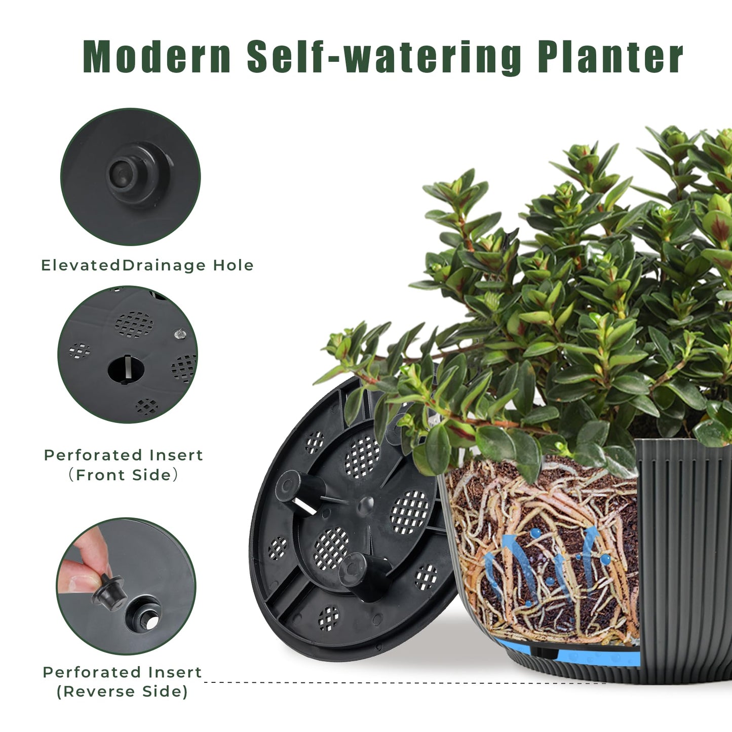 T4U 12 Inch Self Watering Pots for Indoor Plants, 2 Pack Large Plant Pots, Self Watering Planter for Indoor Plants, Durable Plastic Pots (2 Pack,12", Gray)