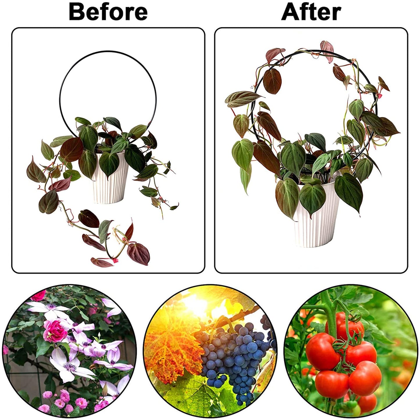 Lyellfe 8 Pack Garden Trellis for Climbing Plants, 13" Rust Free Climbing Trellis for Potted Plants, Iron Plant Trellis, Climbing Holder Rack for Pothos, Hoya, Vines, Stem Stalks, Round, Heart