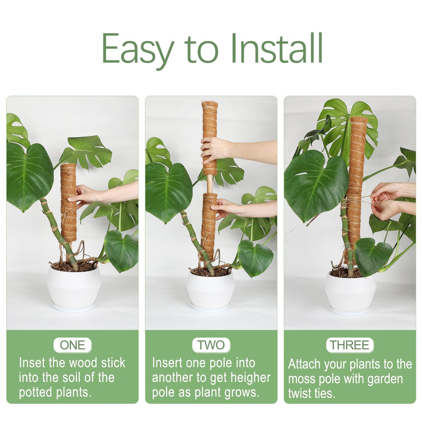 Joyhalo Moss Pole Monstera Plant Support, 6 Pcs 15.7 and 12 Inch Moss Stick for Potted Plants, Plant Pole with 65 Feet Garden Twist Tie