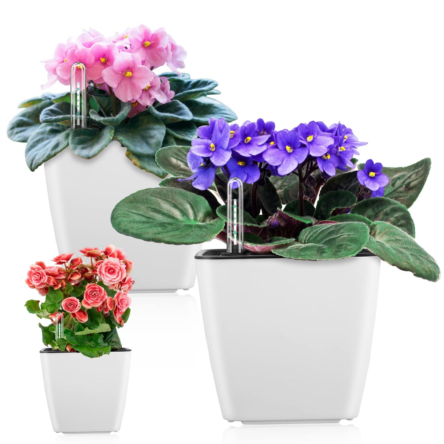 GS Garden Self Watering Planters for Indoor Plants : 5 inch 3 Pack White African Violet Self Watering Flower and Herb pots