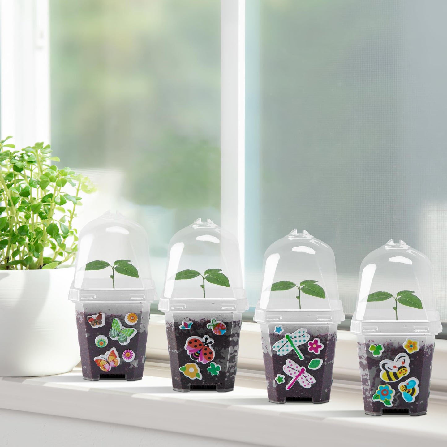 EBaokuup 10 Pack Clear Plant Nursery Pots with Humidity Dome-3" Reusable Plastic Gardening Pot with Printed Labels-Small Seed Starting Pots for Seedlings Vegetables Succulents Cuttings