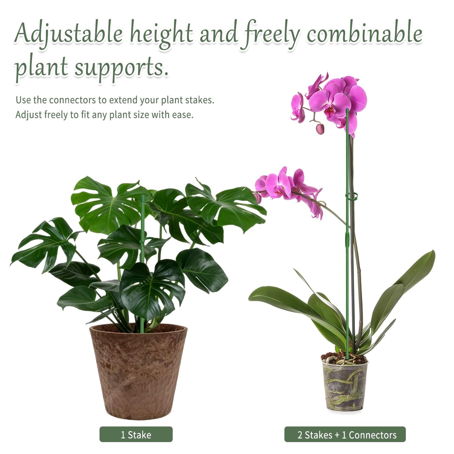 Catephe 20 Pcs Plant Support Stakes, Garden Stakes for Indoor Plants, Tall Adjustable Plant Sticks with 20 Clips and 10 Connectors for Monstera, Tomato, Vine Potted Plants