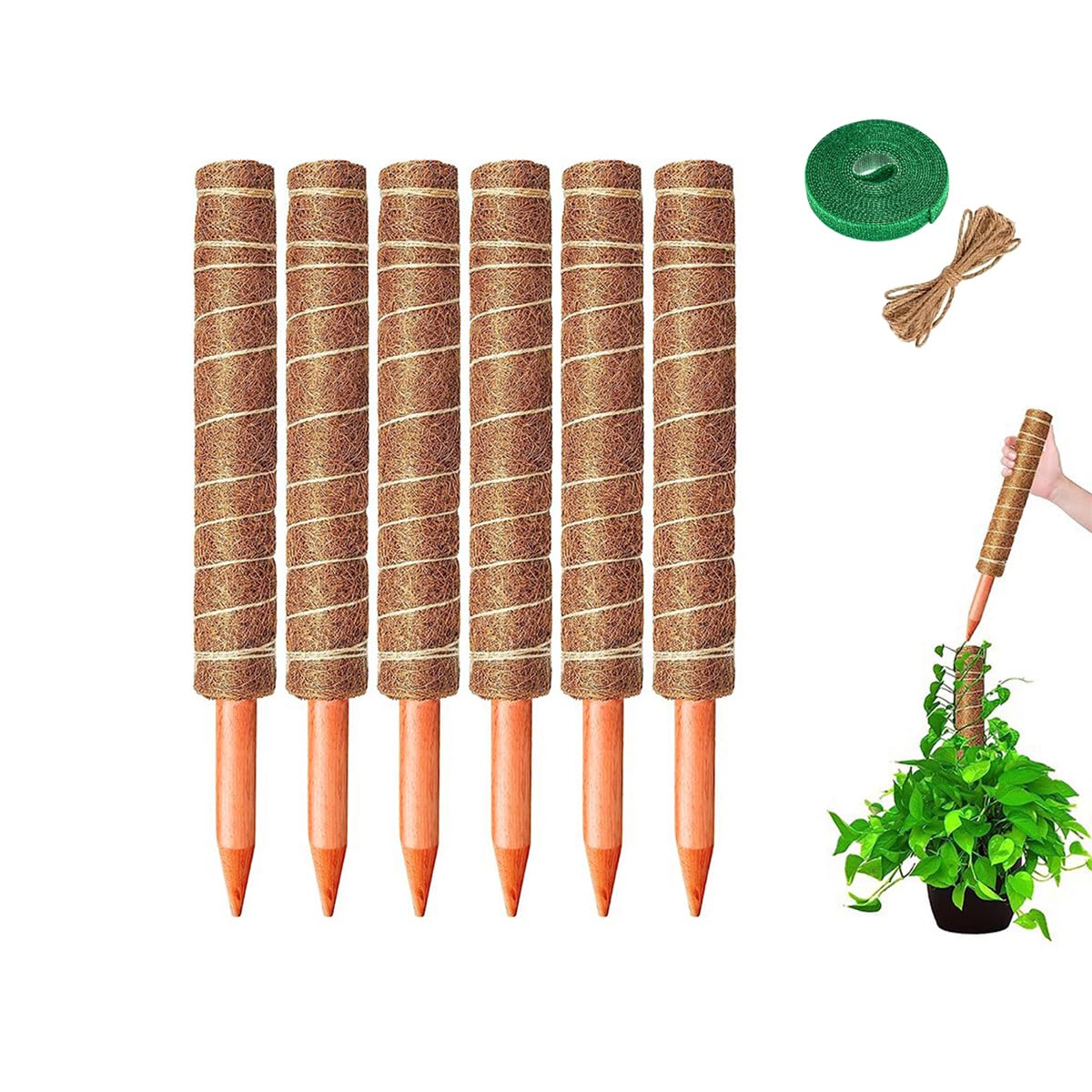 Lythor Moss Pole Set of 4 Extra-Long 63 inch Coir Pole Moss Stick, 4Pcs 15.8 inch for Indoor Monstera Plant Support and Train Creepers and Climbing Plants Grow Upwards