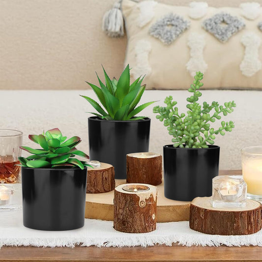 Hopewood Artificial Succulents Faux Potted Plant Decor, Small Fake Plants in Black Pot, Realistic and Lifelike for Book Shelf, Desk Decor, Home Office, Kitchen, or Bathroom Decor - Pack of 3