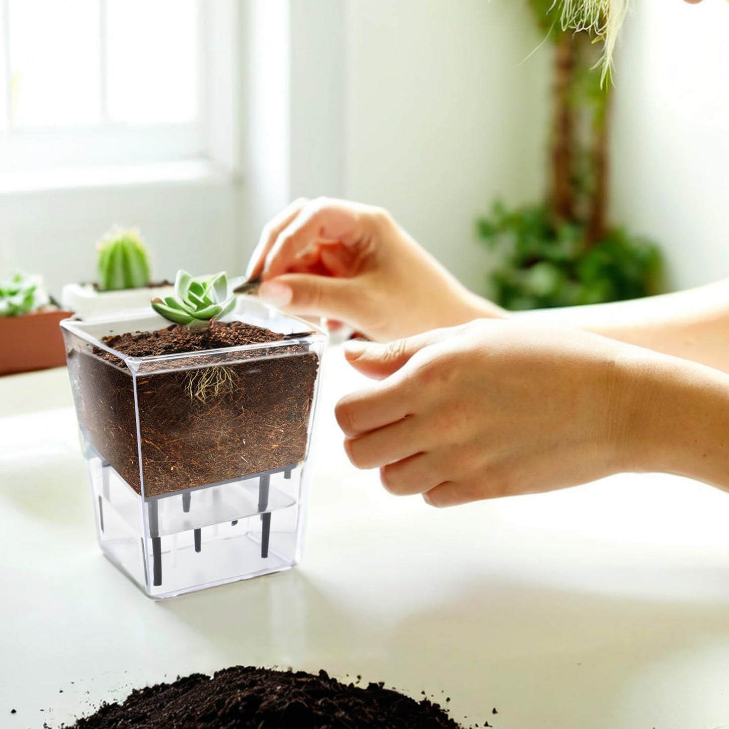 IWNTWY Self Watering Pots Set, 3 Pack 2.7 Inch Pots for Indoor Plants, Clear Nursery Planter with Deep Reservoir for Succulents, Seedlings, Small Plants