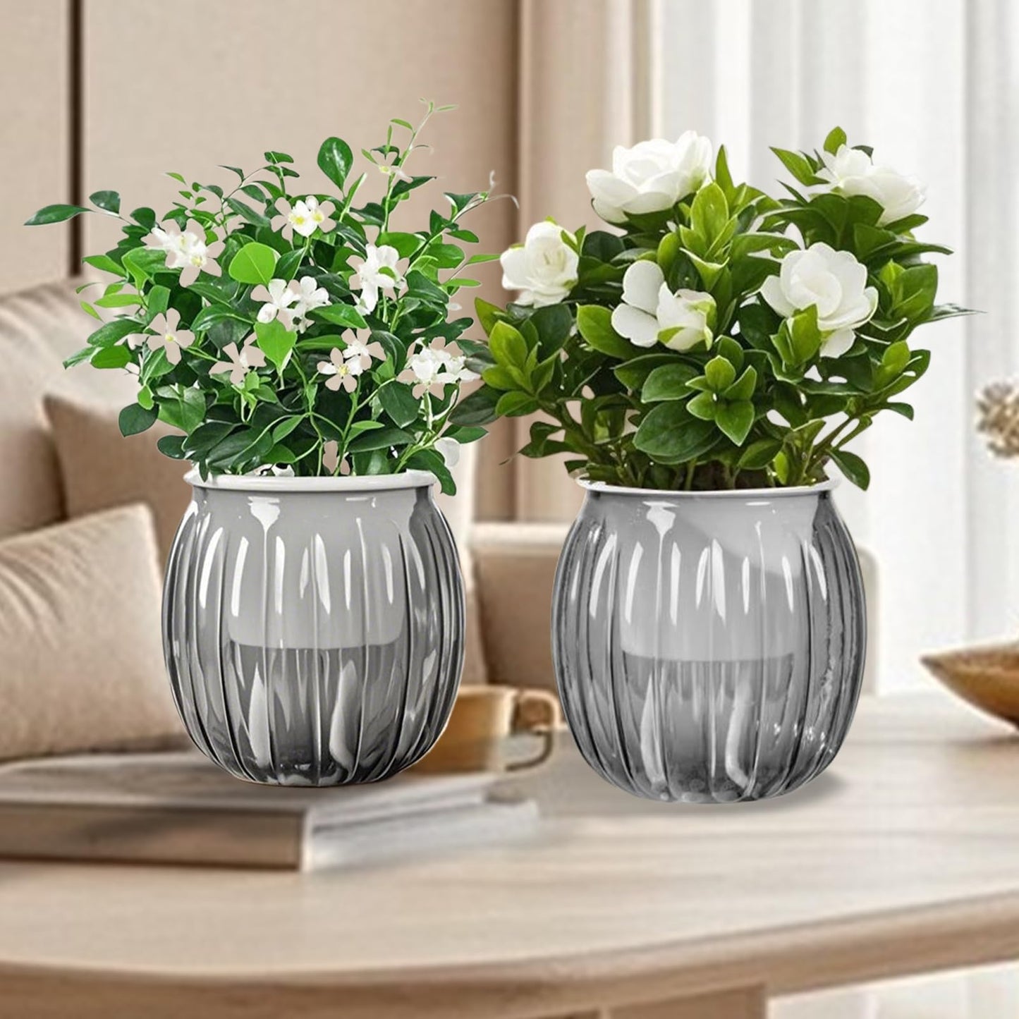 Qhzxcvlk 2 Pack Self Watering Planters Indoor Flower Pots, 5.1 Inch Clear African Violet Pots for Indoor Plants for Flower, Succulents, Plant Pots with Wicking Rope, Modern Decor(Black)