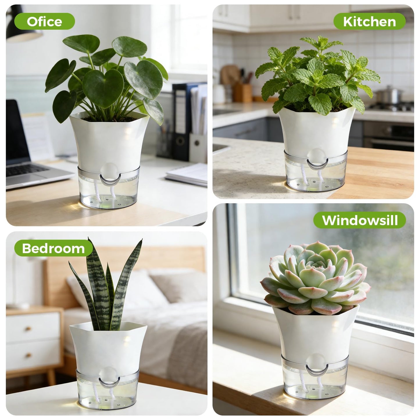 6-Pack 6" Clear Self Watering Pots for Indoor Plants Large Hexagon Self-Watering Planters Orchid Pots Plastic Wick Flower Plant Pots for African Violet, Spider, Herbs, Home Decor, White and Clear