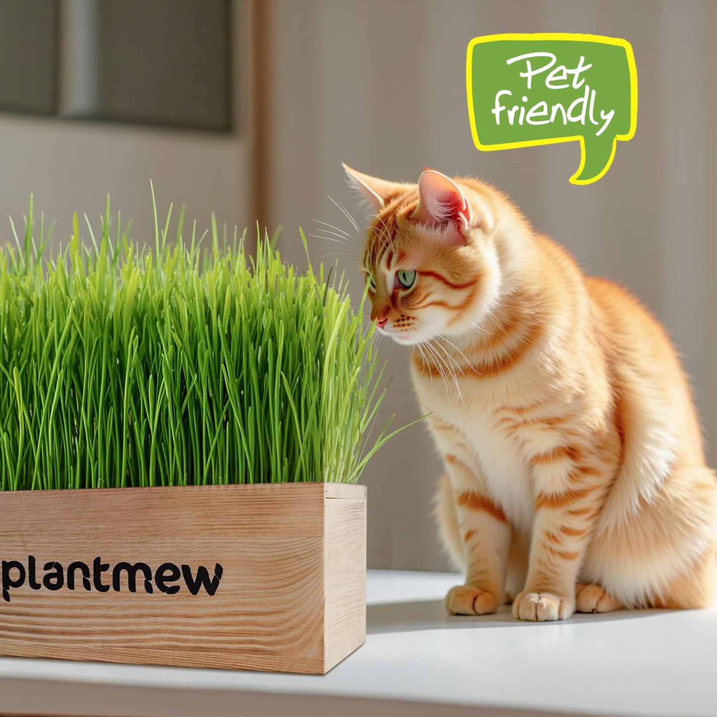Cat Grass Kit for Indoor Cats - 3 Pack with Cat Grass Seeds, Nutrient Soil & Planter Pots | Complete Growing Set for Fresh Pet Grass (Non-GMO Wheat Grass)