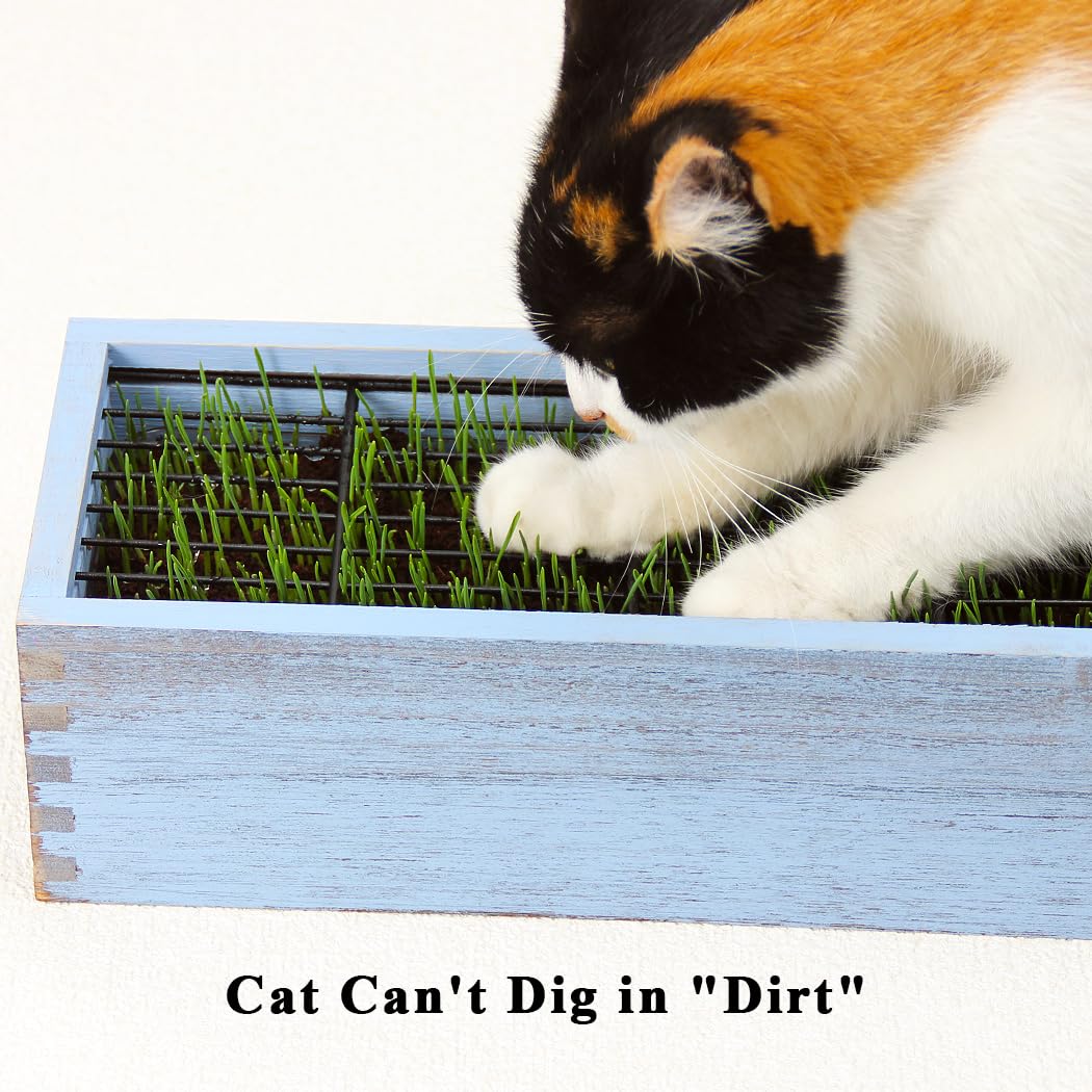BENPIN Wooden Cat Grass Planter (no Seeds Included) with Anti Digging Design, and Removable Plastic Liner, Wheat Grass Growing Pot, Cat Grass for Indoor Cats Pets (Vintage Blue)