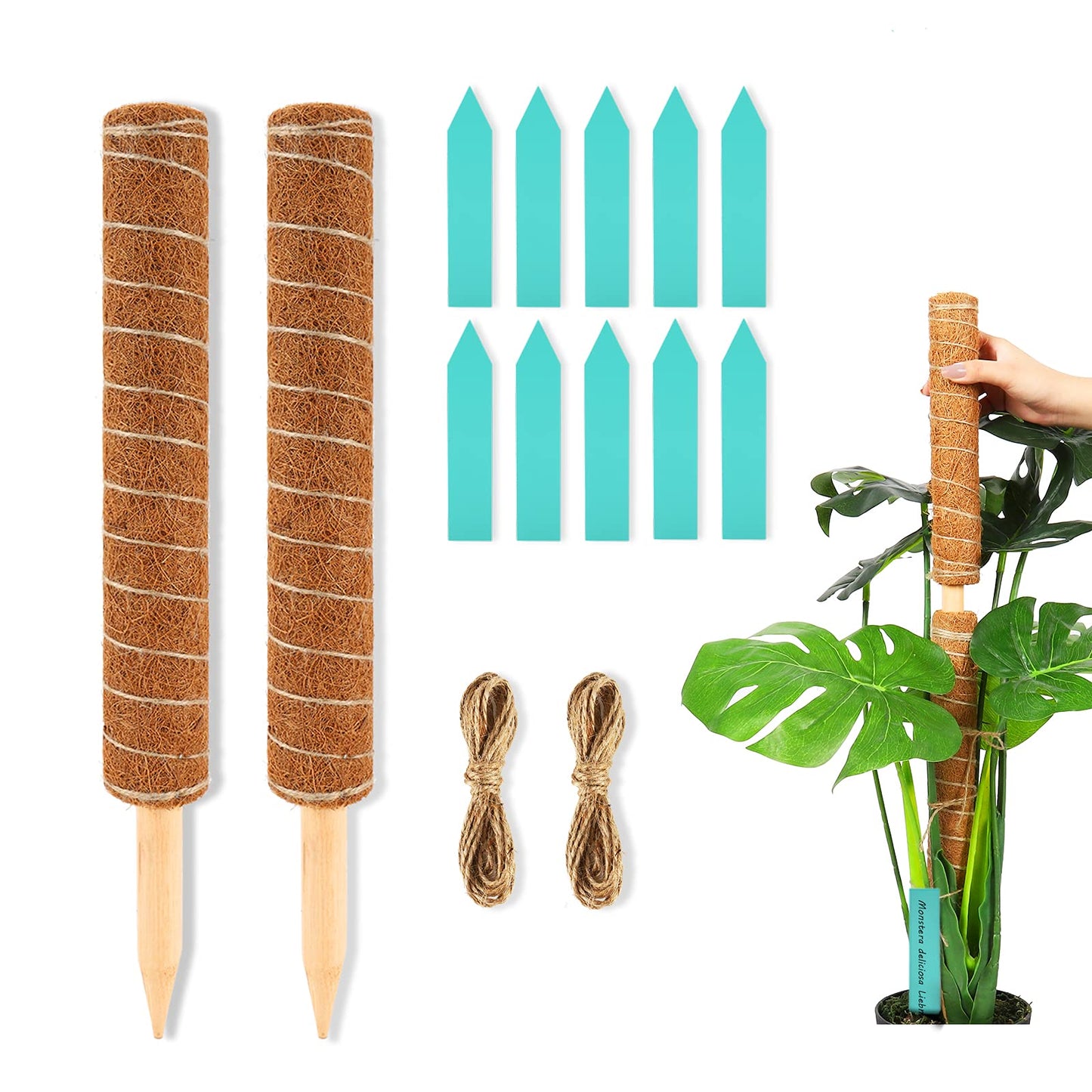 DACHUI 24 Inches Moss Poles for Climbing Plants, 2 Pcs Coco Coir Totem Pole-Support Indoor Plants to Grow Upwards