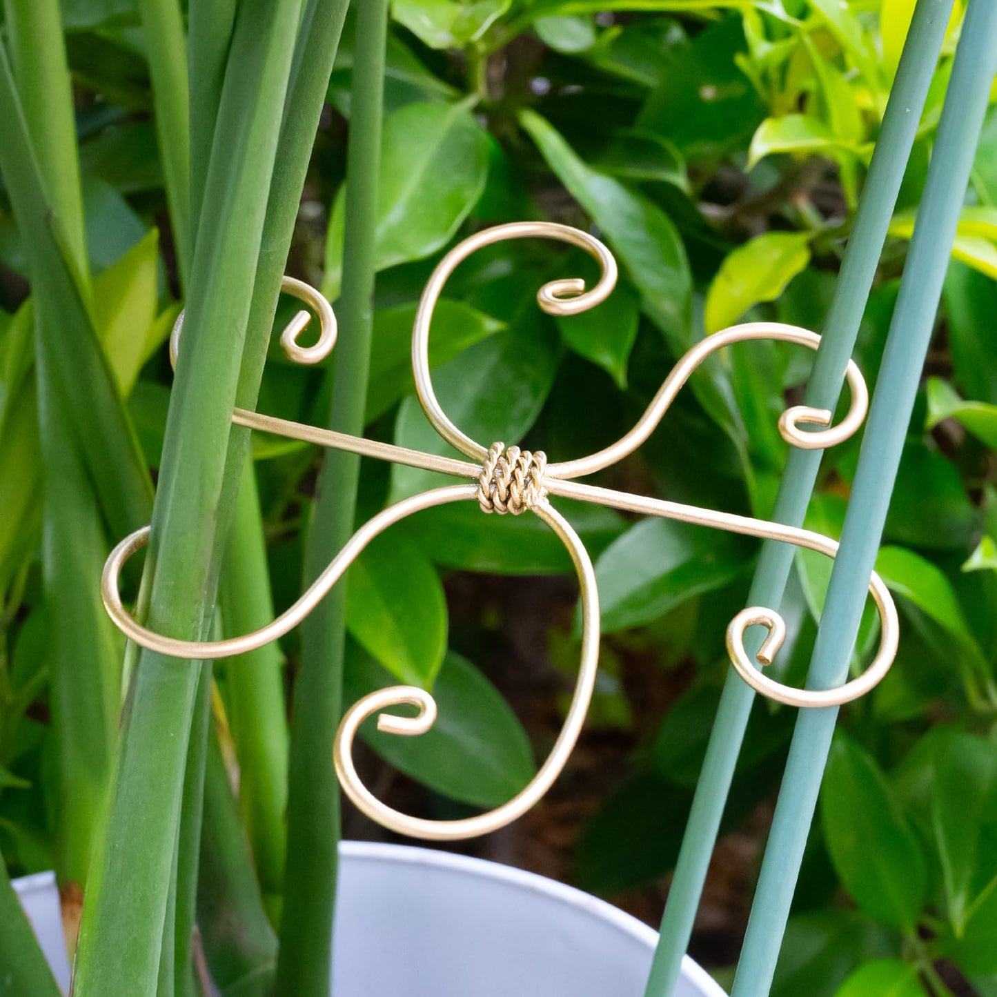 GOOOXIM 5PCS Monstera Plant Stem Support Hook - 6.5 * 6.5IN Durable Metal Stem Stabilizer for Monstera Plants and Fishbone Cactus - Gentle Protection Leaf Holder - Easy Installation - 5 Piece Set