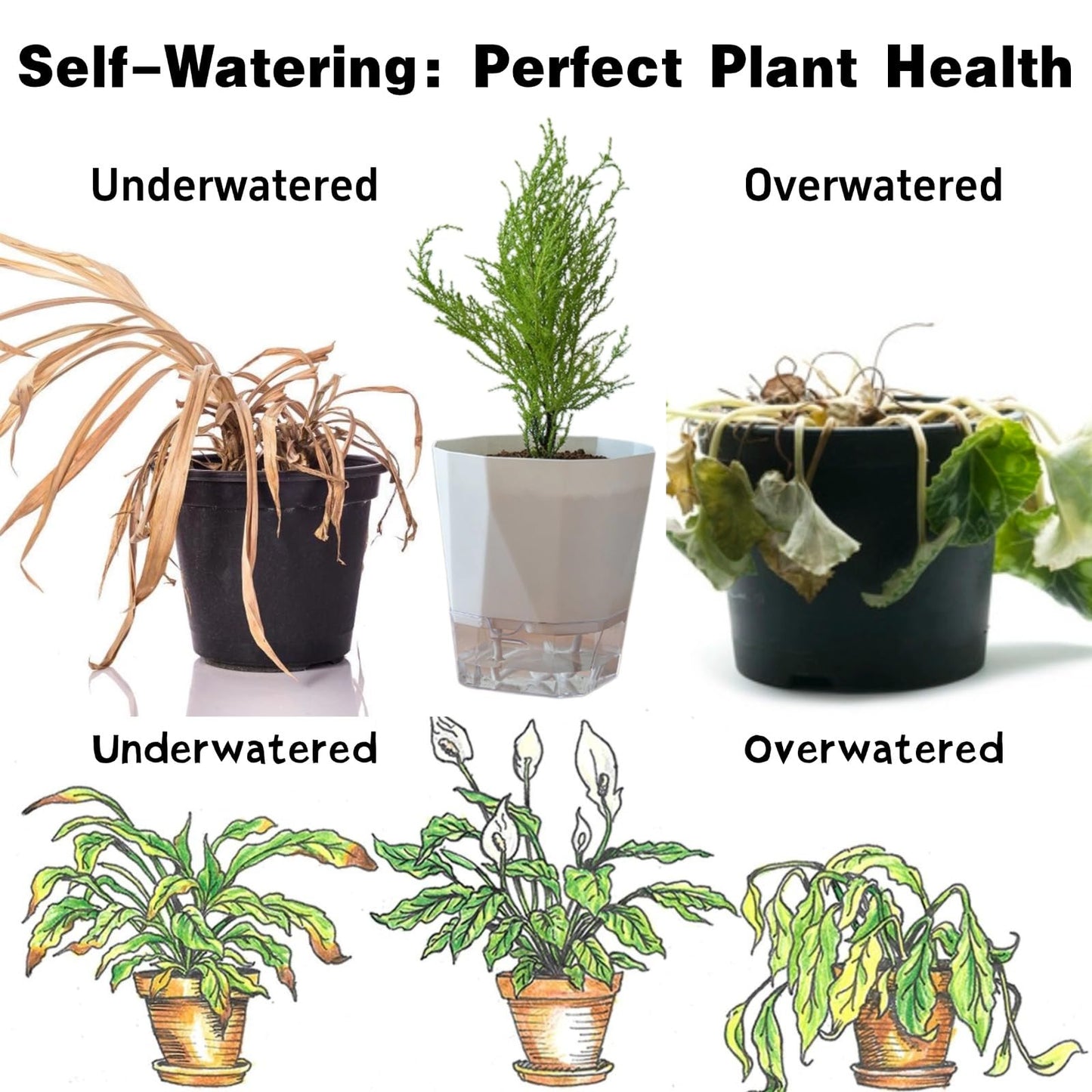 BovcTrraann 3 Packs Self Watering Plant Pots, Plastic Flower Pots with Drainage Hole and Saucer, Self Watering Planters for Indoor Outdoor Garden Plants, African Violet, Herbs (White, 6.7")