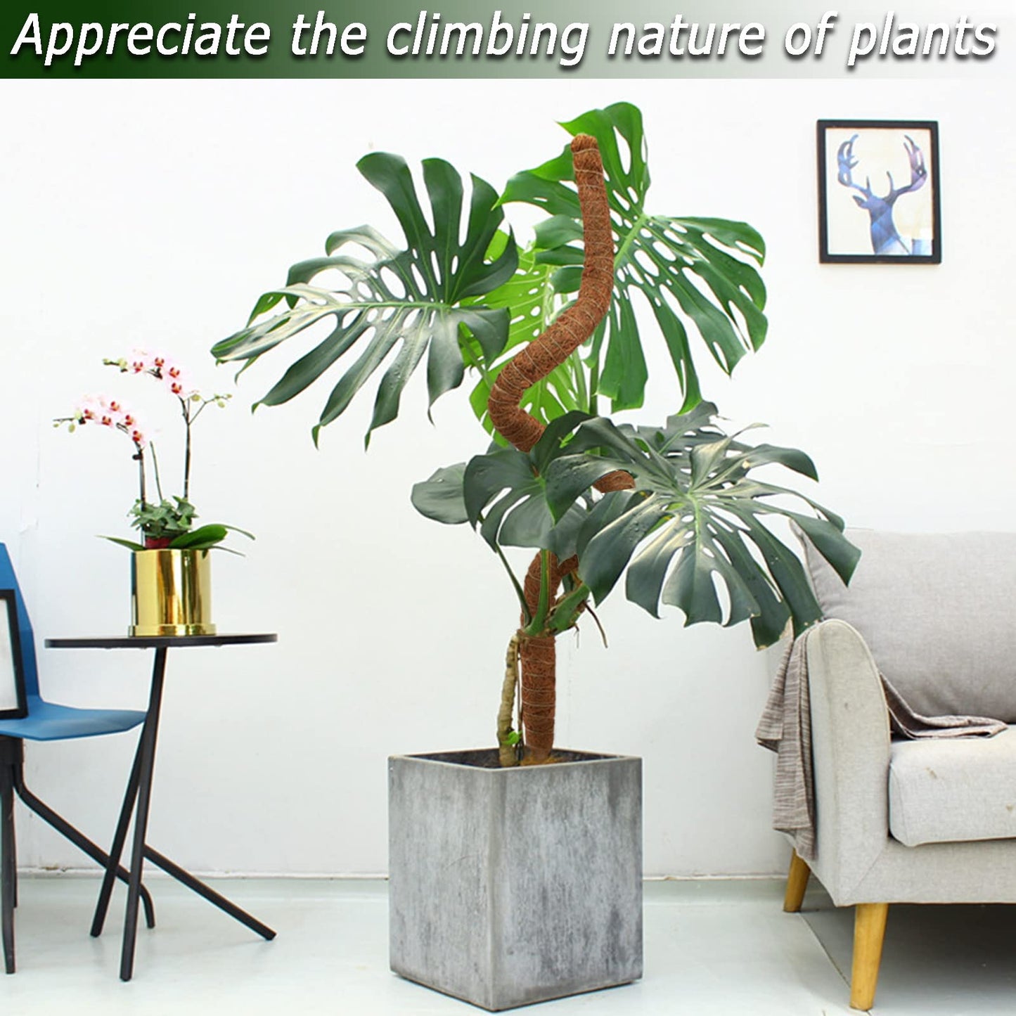 Moss Pole Set, Bendable Moss Pole for Plants Monstera, Tall Moss Poles for Climbing Plants Indoor, Large Handmade Coco Coir Plant Pole Sticks Support Stakes for Potted Plants, Pothos