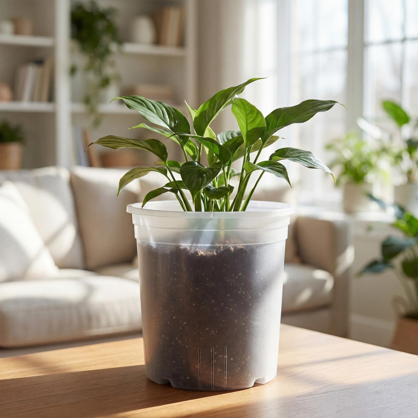 Ziliny 4 Pack 9.4 Inch Large Clear Nursery Pots for Plants Flexible Clear Plastic Nursery Pots with Drainage Hole Transparent Plastic Seedling Planter for Indoor Outdoor Rooting Visibility