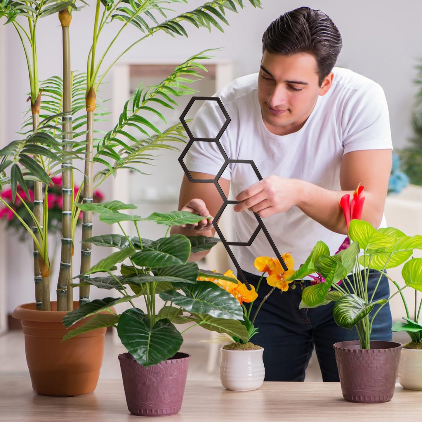 KOYILTD 4 Pcs Trellises for Climbing Plants Indoor Metal Climbing Plant Support Metal Plant Trellis for Pots Garden Trellis for Climbing Plants for Plant Lovers (Style 1)