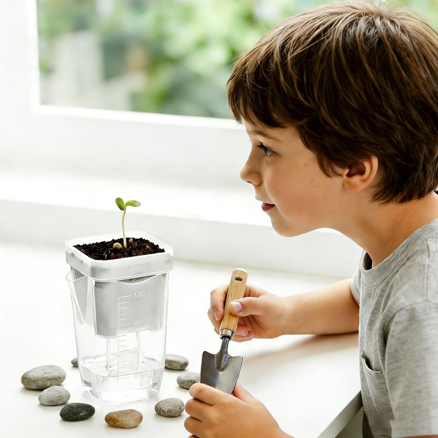 12 Pack 2" Mini Self Watering Pots for Indoor Plants - Clear Plastic Planters with Water Level Indicator & Drainage Hole, Ideal for Alocasia, African Violet, Cuttings, Seeding + 12 Plant Labels