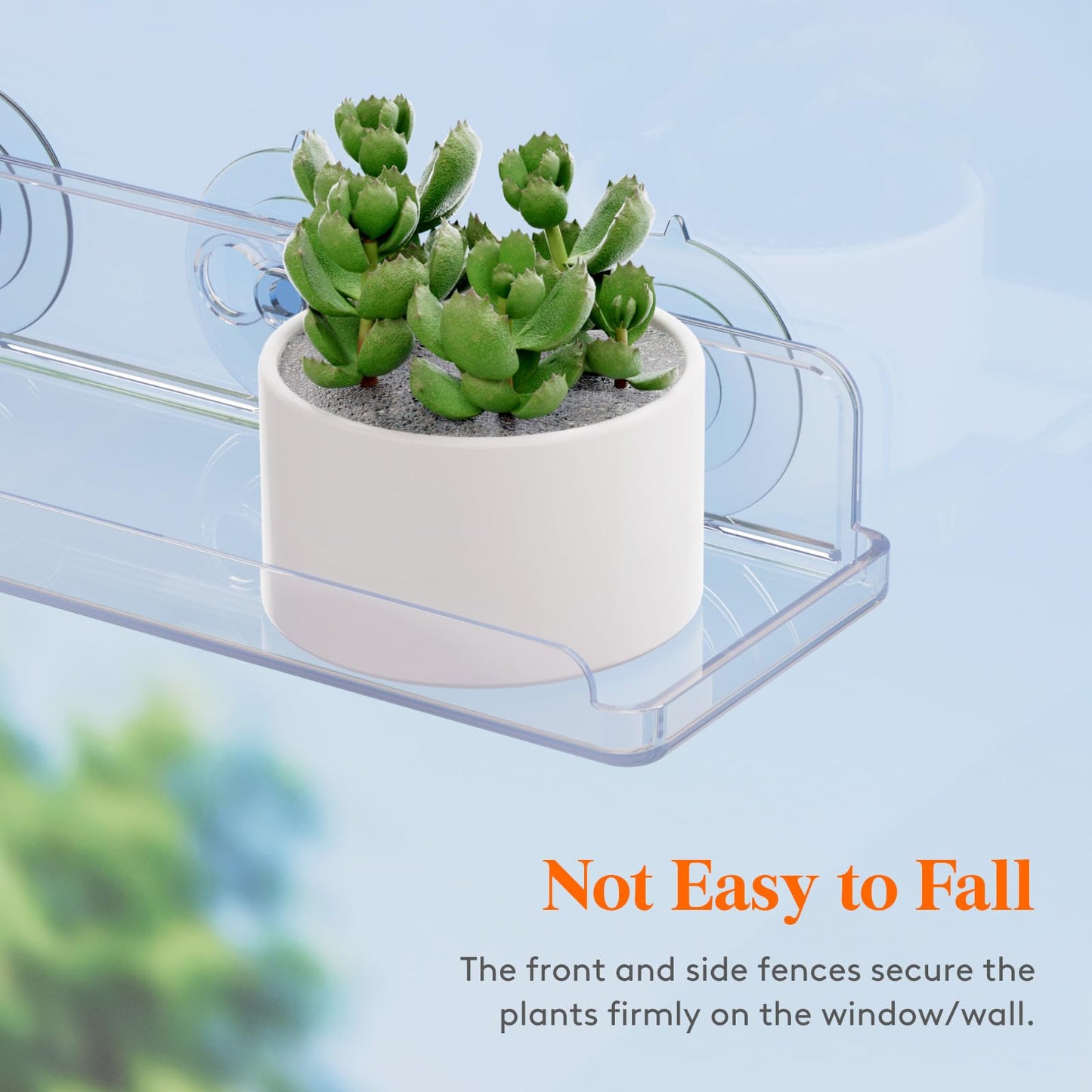 Lifewit Window Plant Floating Shelves 14.6x3.6, 3 Pack Acrylic Suction Cup Shelf, Window Sill Extender for Indoor Succulent Plants, Micro Greens, Seed Starter Pots, Herb Planters 37 x 9 cm/14.6x3.6