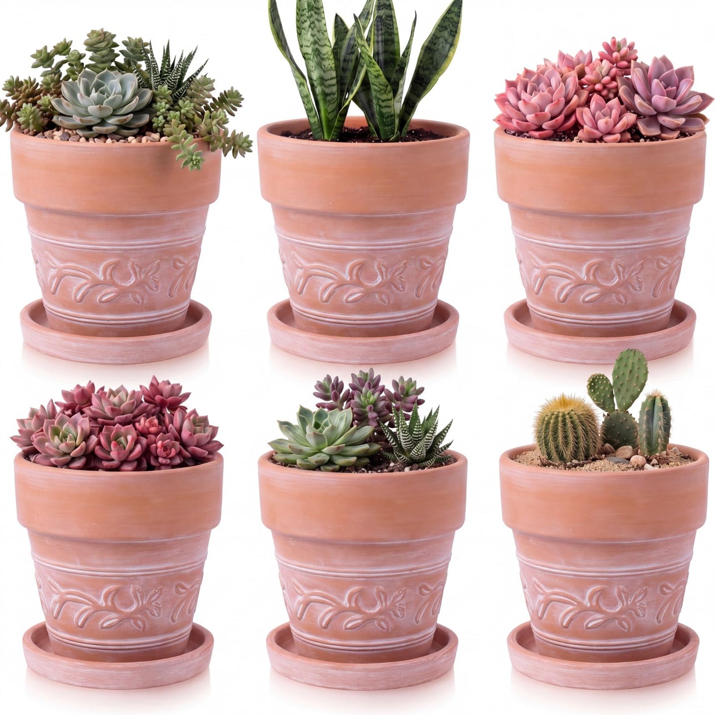 Maxdot Set of 6 Embossed Succulent Pots 4" Small Terracotta Pots with Drainage Hole and Saucer Rustic Clay Succulent Planter Pot Decorative Ceramic Cactu Flower Pot for Indoor Outdoor(Leaf Style)