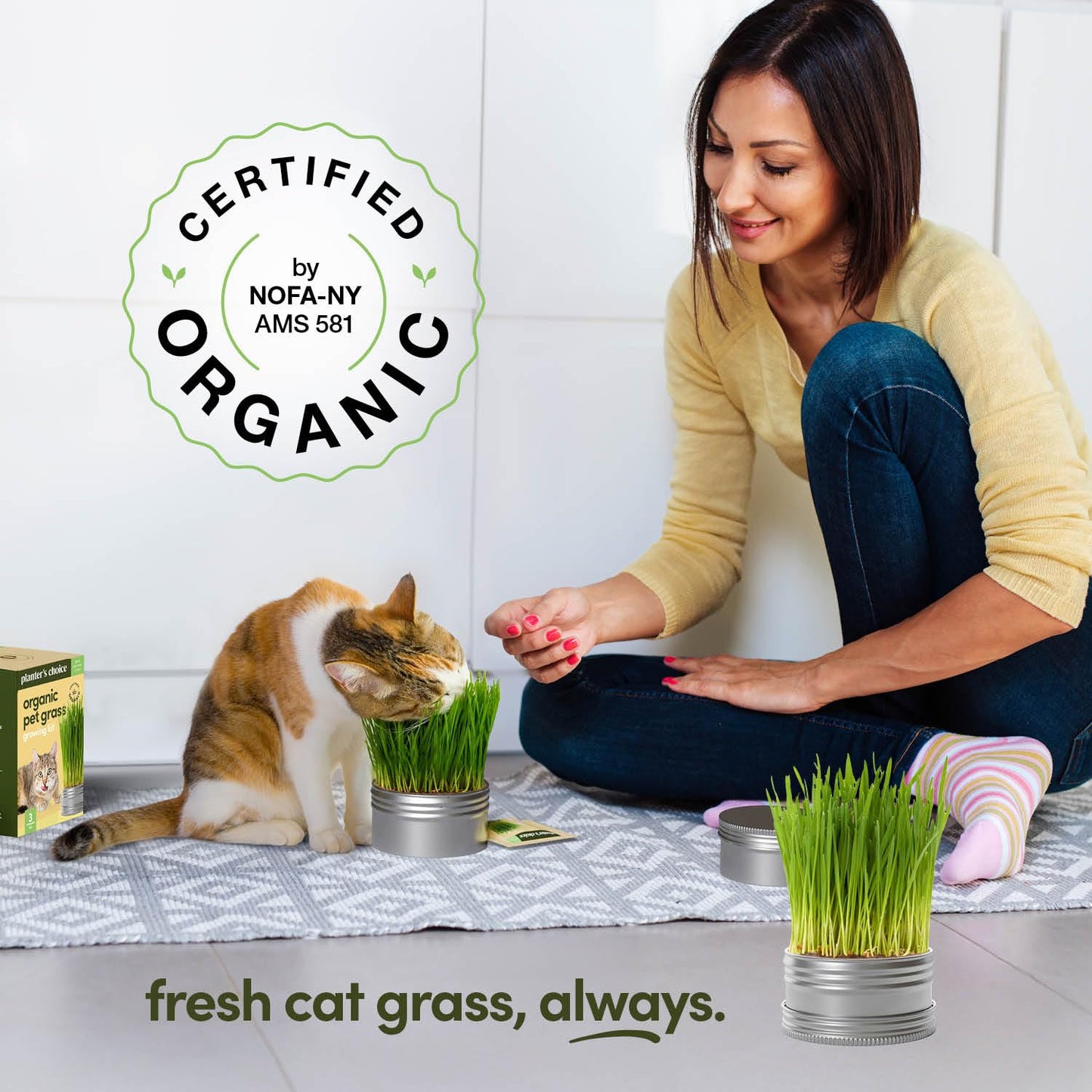 Cat Grass for Indoor Cats Kit - 3 Complete Growing Organic Planter Kits - Grow Your Own Cat Grass - Organic Plant Seeds - Pet Health Supplies Stuff - Gift for Pet Lover